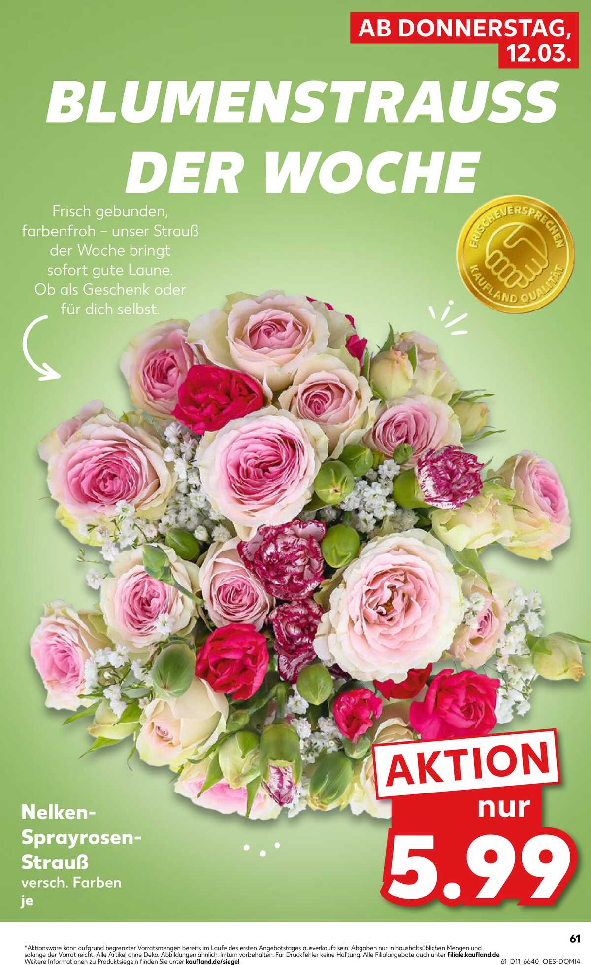 Leták Kaufland Německo 12.3.-18.3.2026 strana 61