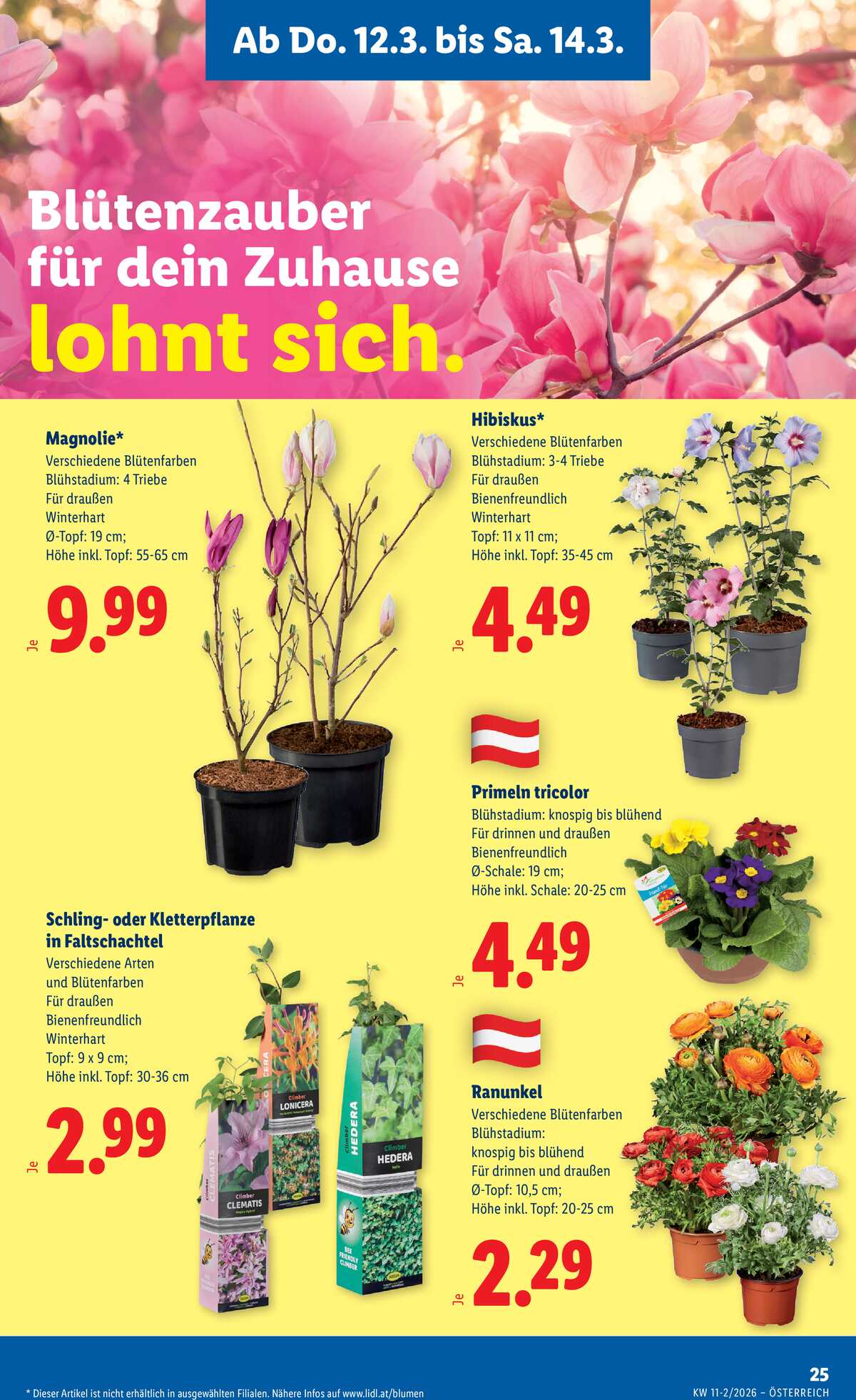 Leták Lidl Rakousko 12.3.-18.3.2026 strana 29