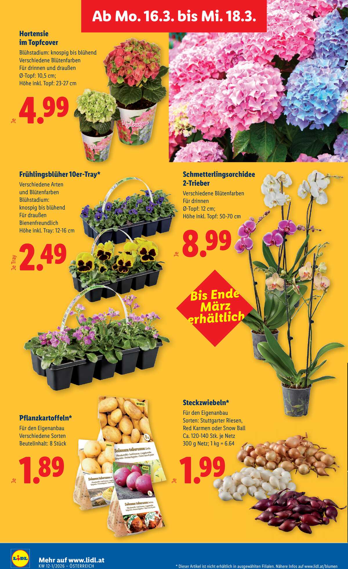 Leták Lidl Rakousko 12.3.-18.3.2026 strana 31