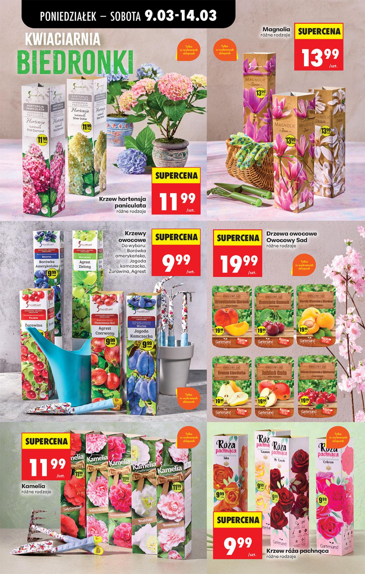 Leták Biedronka Polsko 9.3.-15.3.2026 strana 76