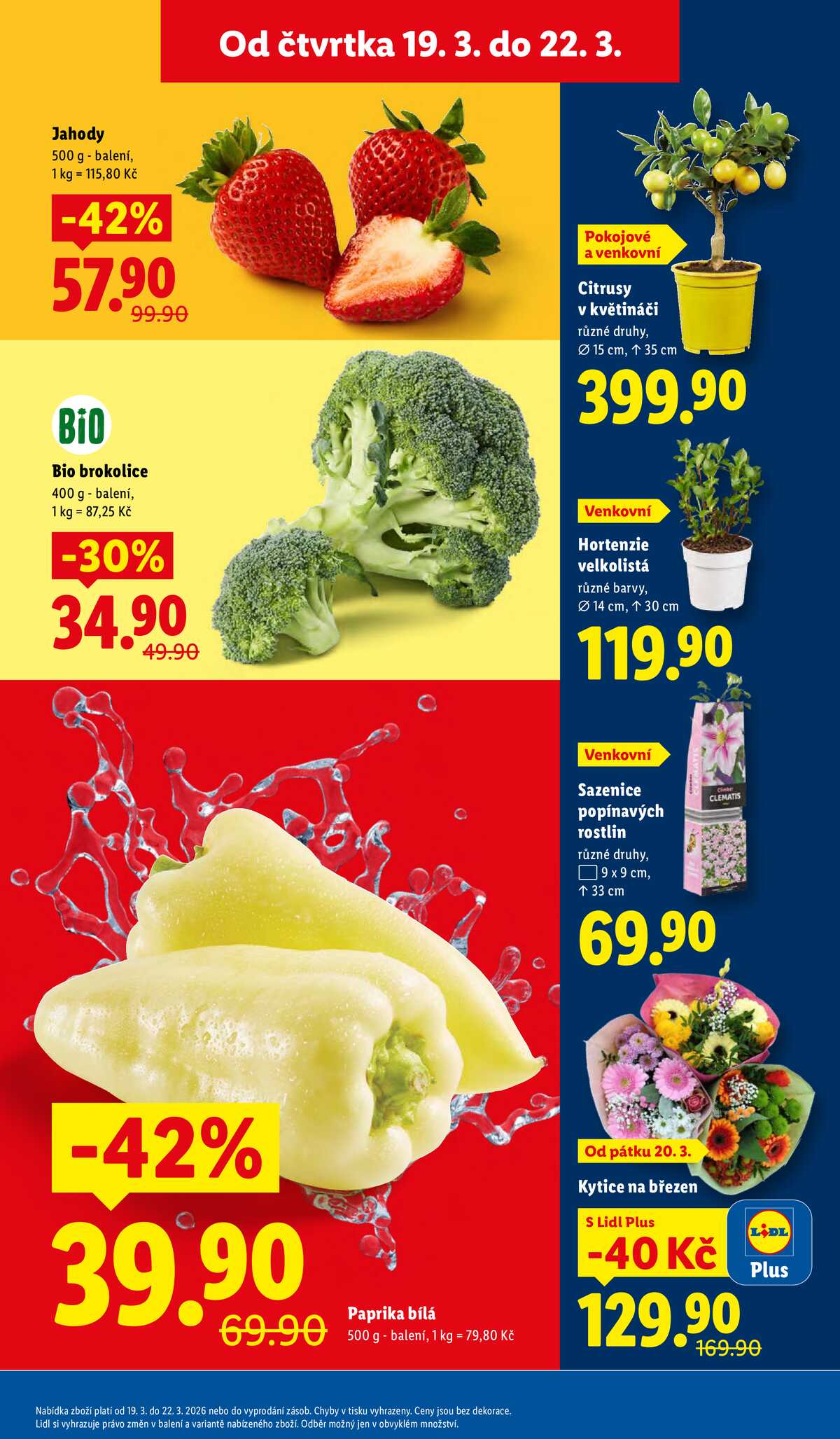Lidl Čtvrtek od 19.3. do 22.3.2026 strana 11