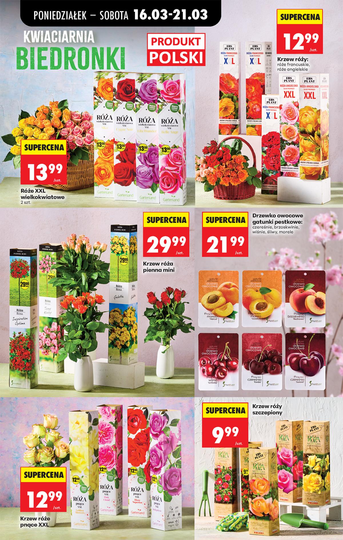 Leták Biedronka Polsko 16.3.-22.3.2026 strana 79