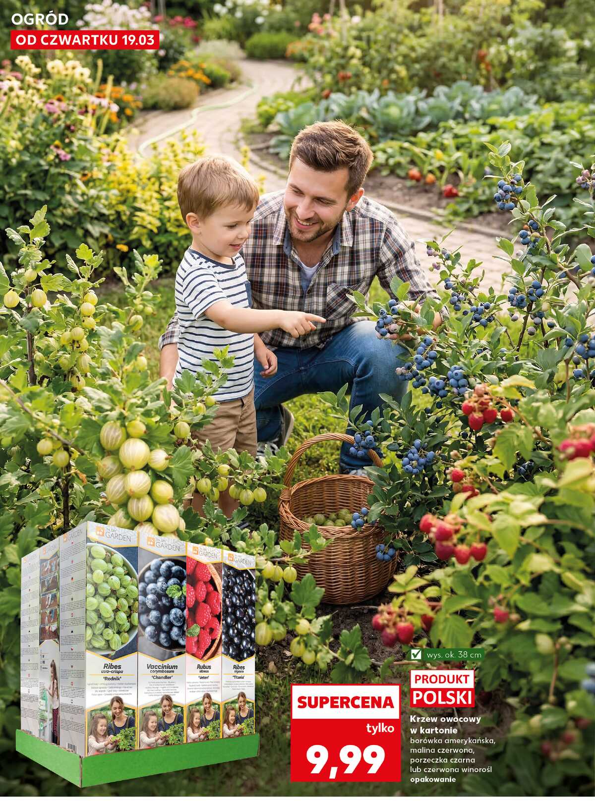 Leták Kaufland Polsko 19.3.-25.3.2026 strana 10