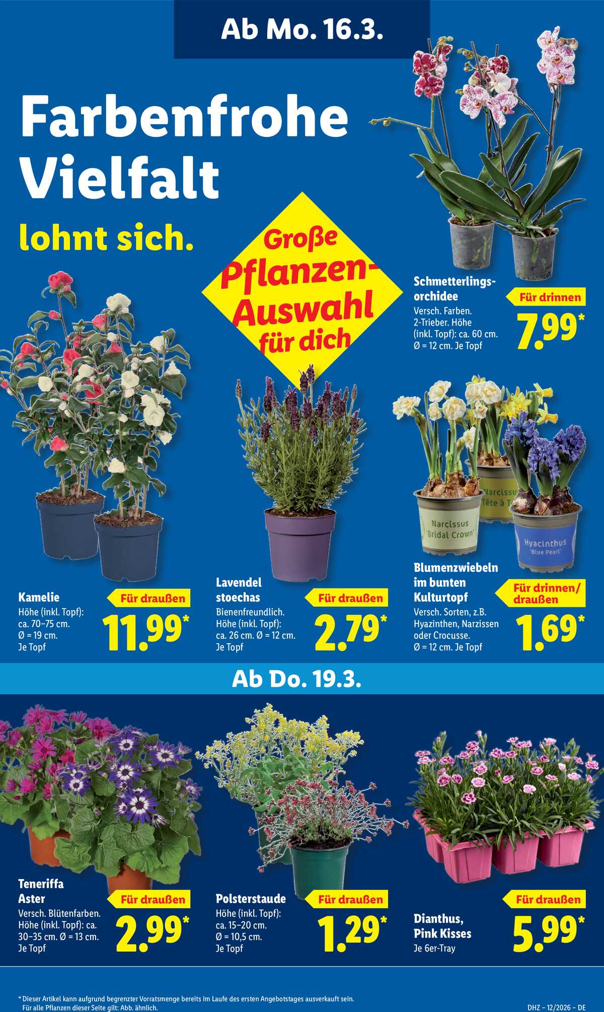 Leták Lidl Německo 16.3.-21.3.2026 strana 67