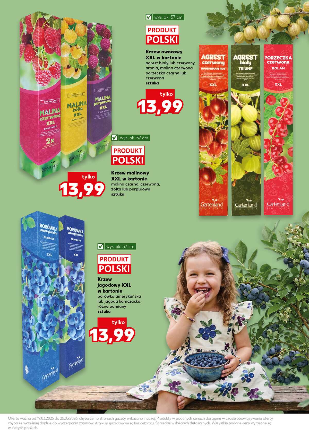 Leták Kaufland Polsko 19.3.-25.3.2026 - Zahrada strana 11