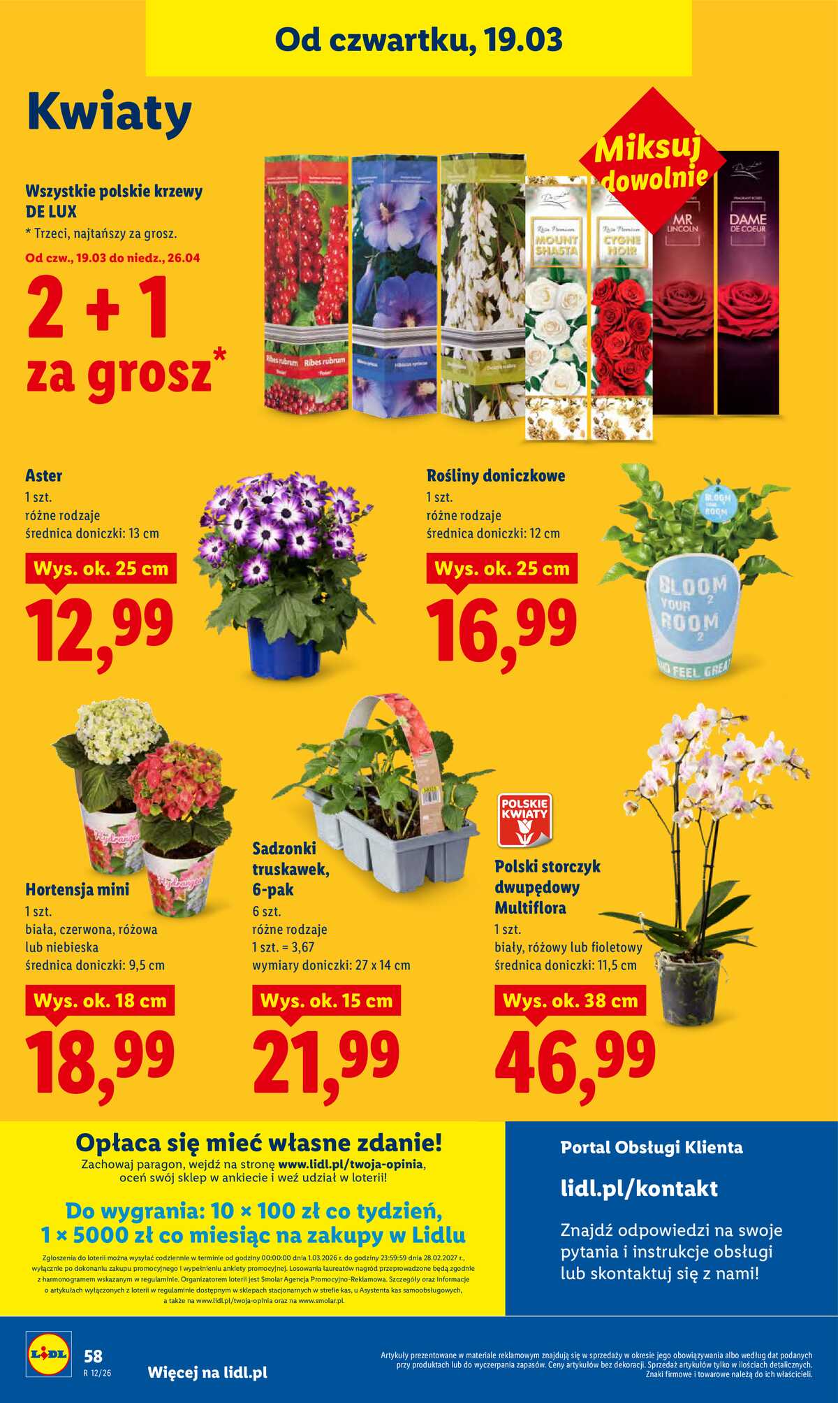 Leták Lidl Polsko 19.3.-21.3.2026 strana 58