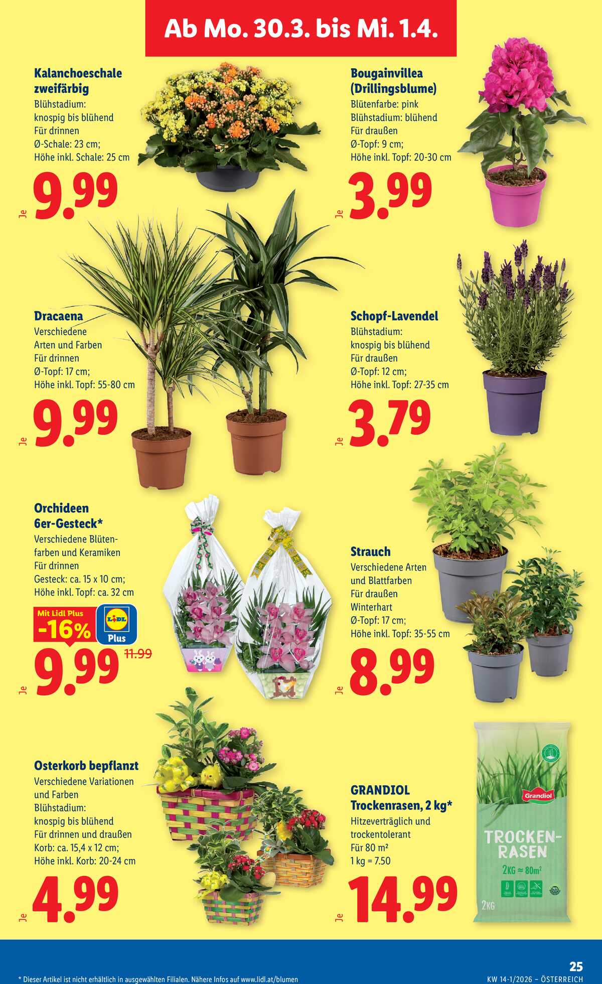 Leták Lidl Rakousko 26.3.-1.4.2026 strana 30