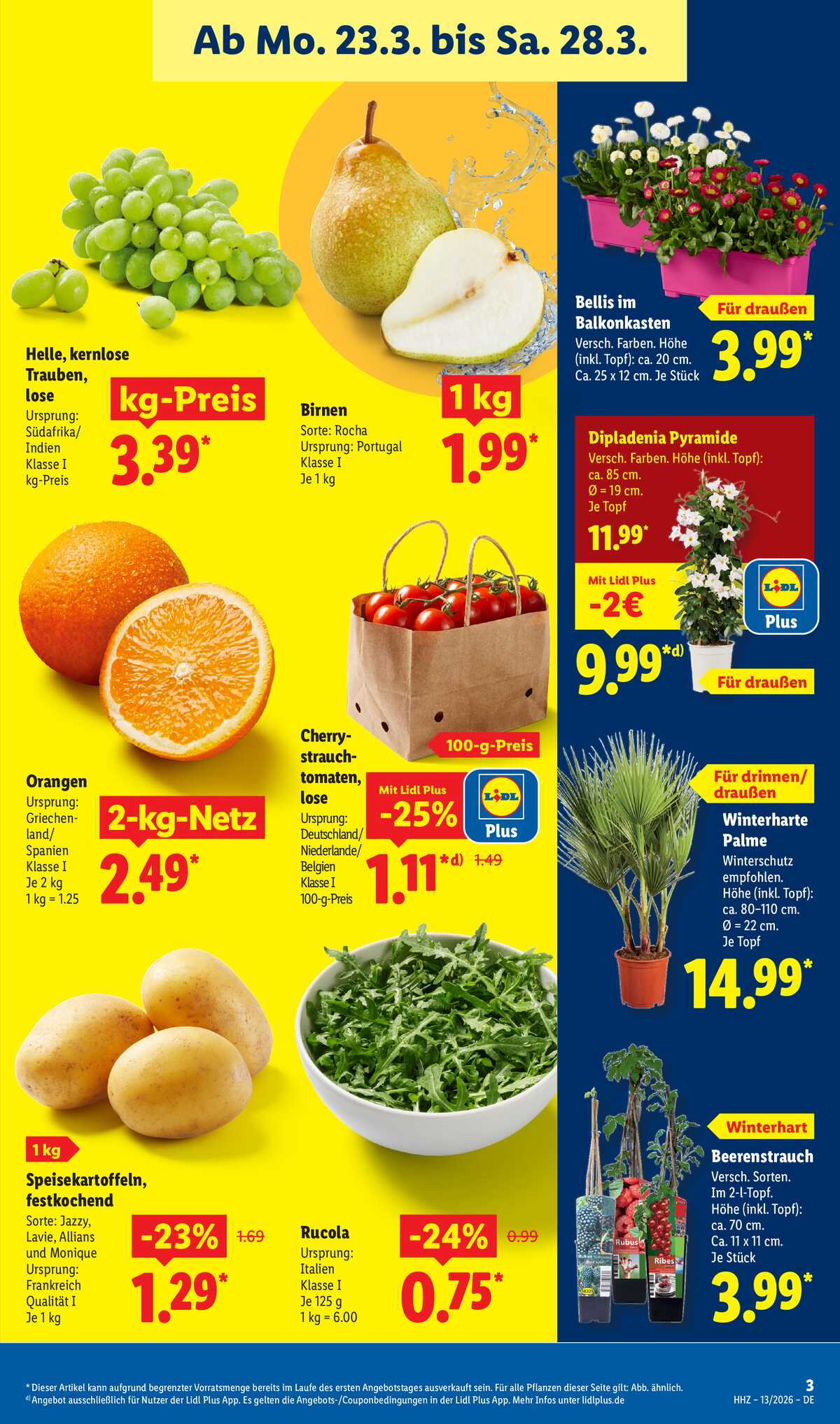 Leták Lidl Německo 23.3.-28.3.2026 strana 5