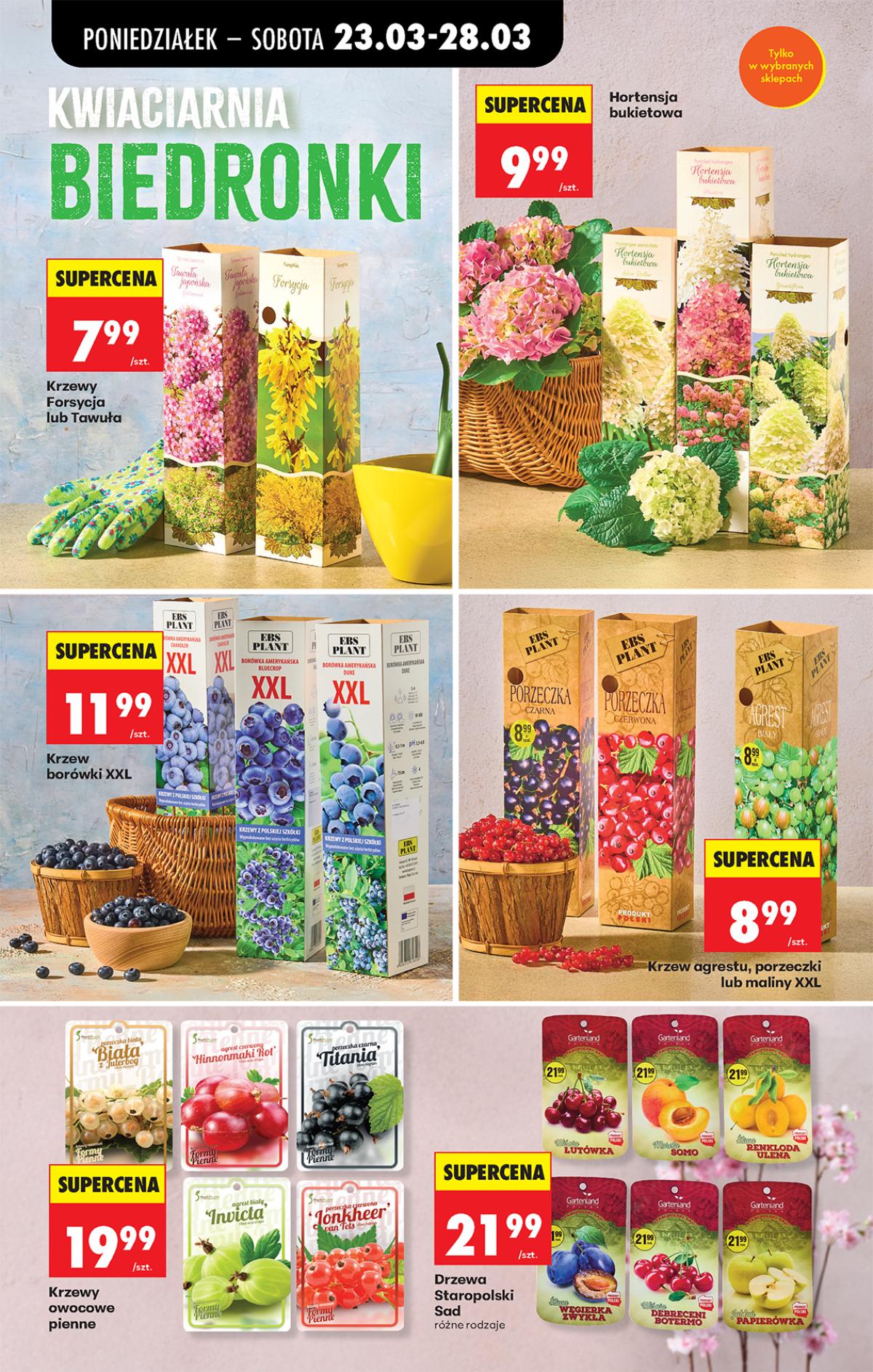 Leták Biedronka Polsko 23.3.-29.3.2026 strana 14