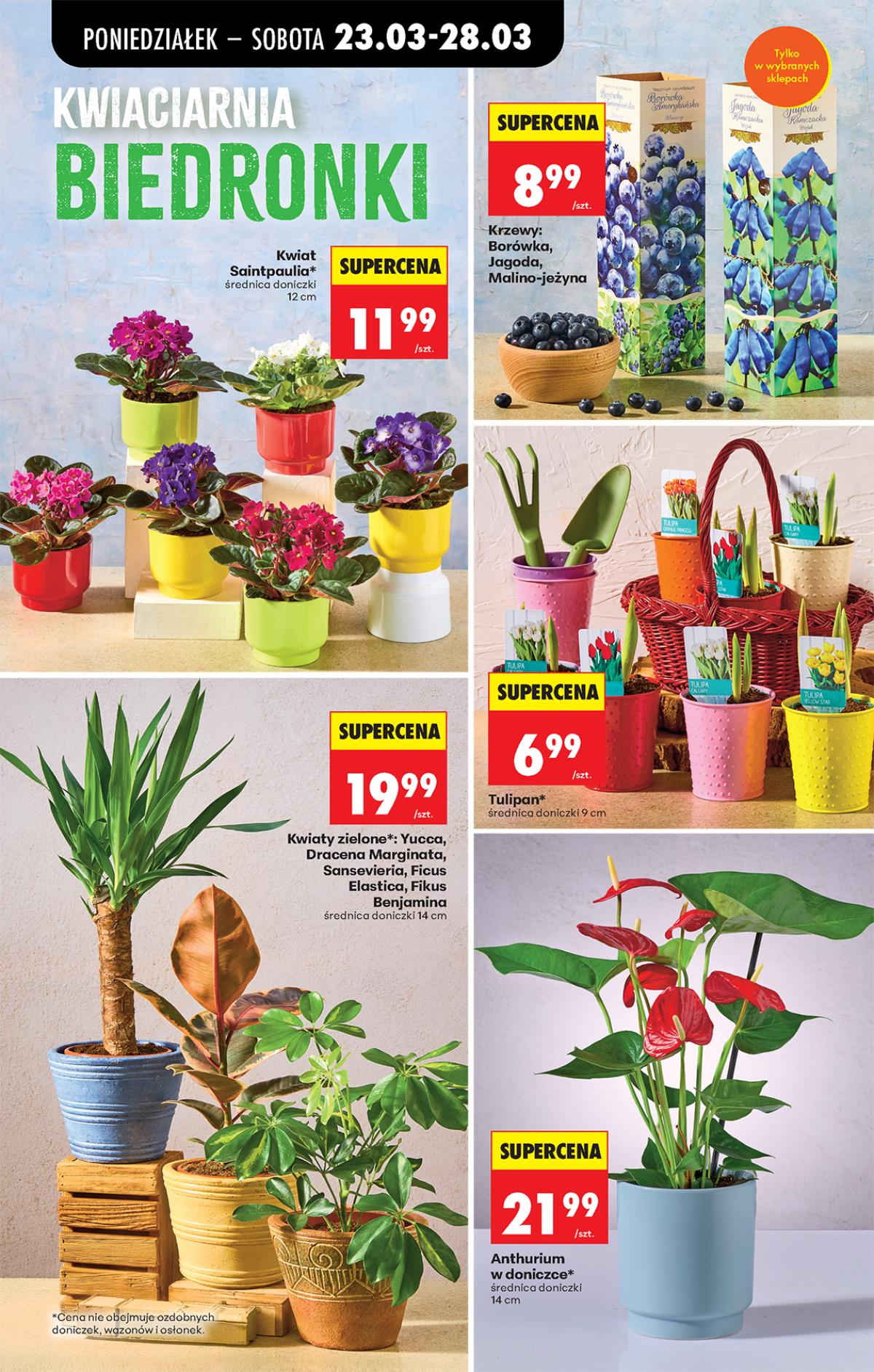 Leták Biedronka Polsko 23.3.-29.3.2026 strana 15