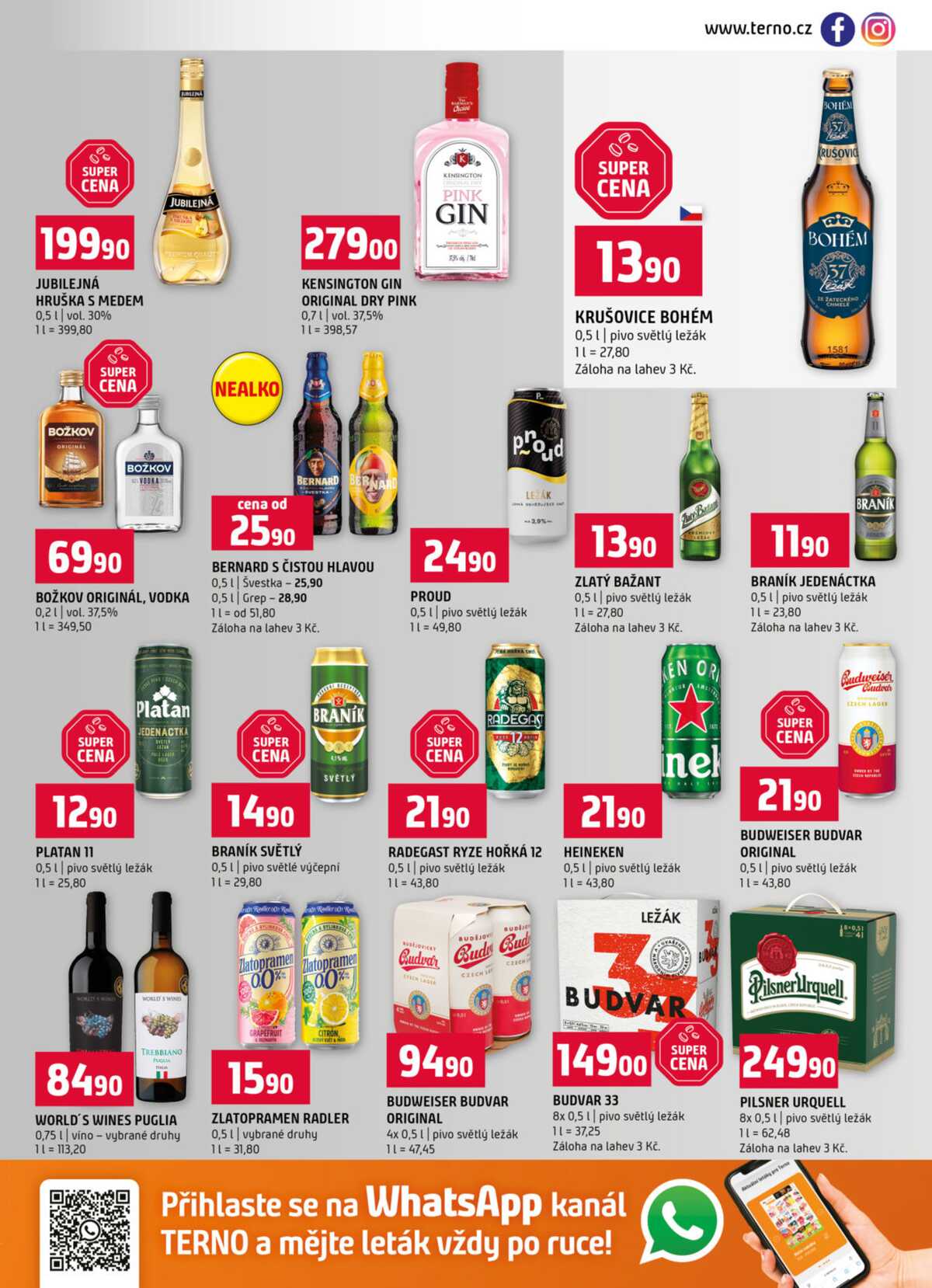 Terno Prachatice, Český Krumlov, Zlín, Tábor, Strakonice, Blatná 25.3. - 31.3. strana 13