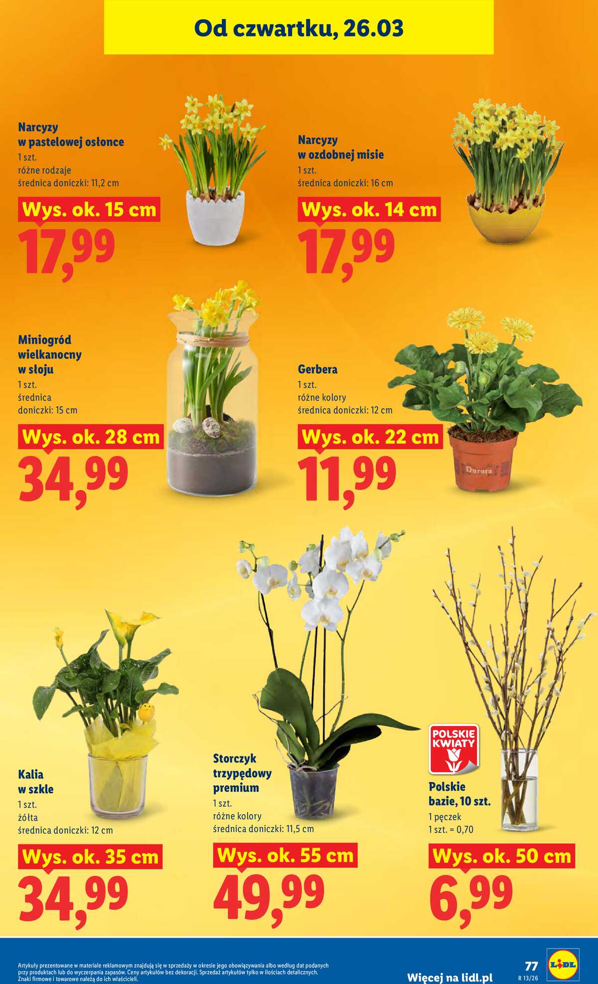 Leták Lidl Polsko 26.3.-29.3.2026 - Zpravodaj platný od 26.03 do 29.03 strana 77