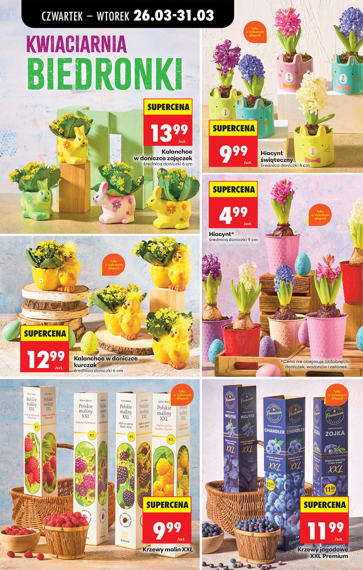 Leták Biedronka Polsko 26.3.-1.4.2026 strana 84