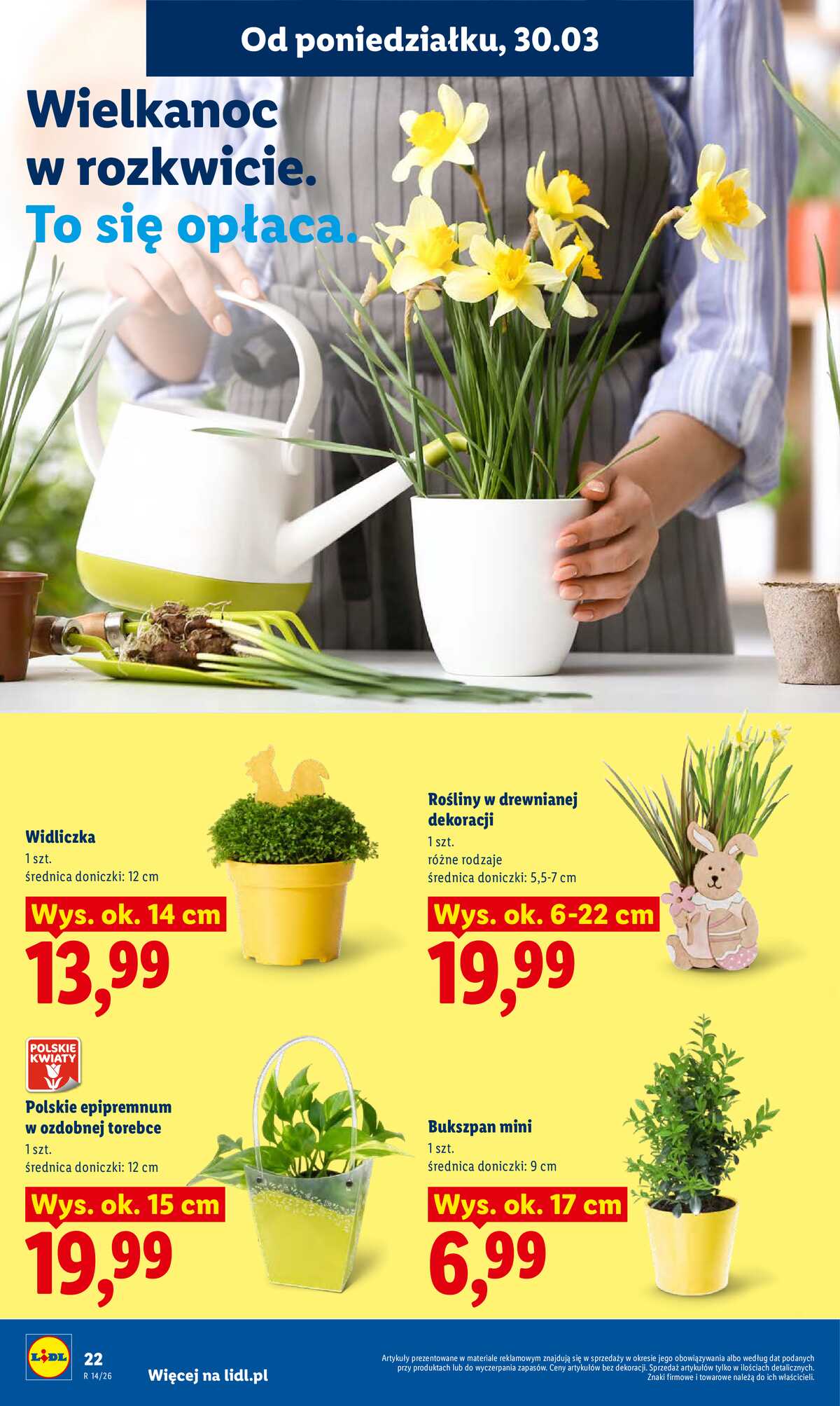 Leták Lidl Polsko 30.3.-1.4.2026 - Zpravodaj platný od 30.03 do 1.04 strana 22