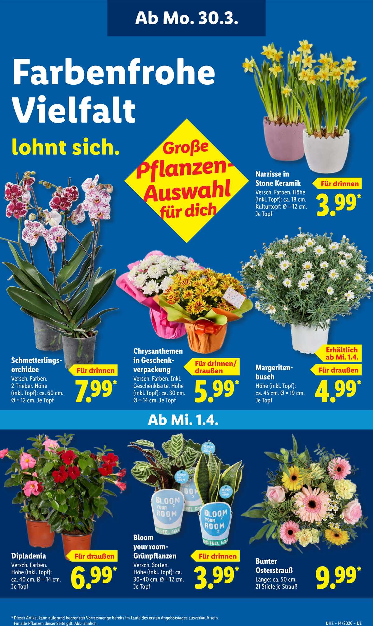 Leták Lidl Německo 30.3.-4.4.2026 strana 31