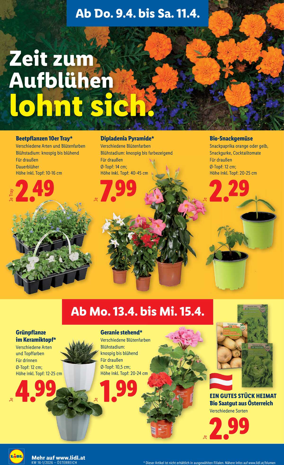 Leták Lidl Rakousko 9.4.-15.4.2026 strana 28