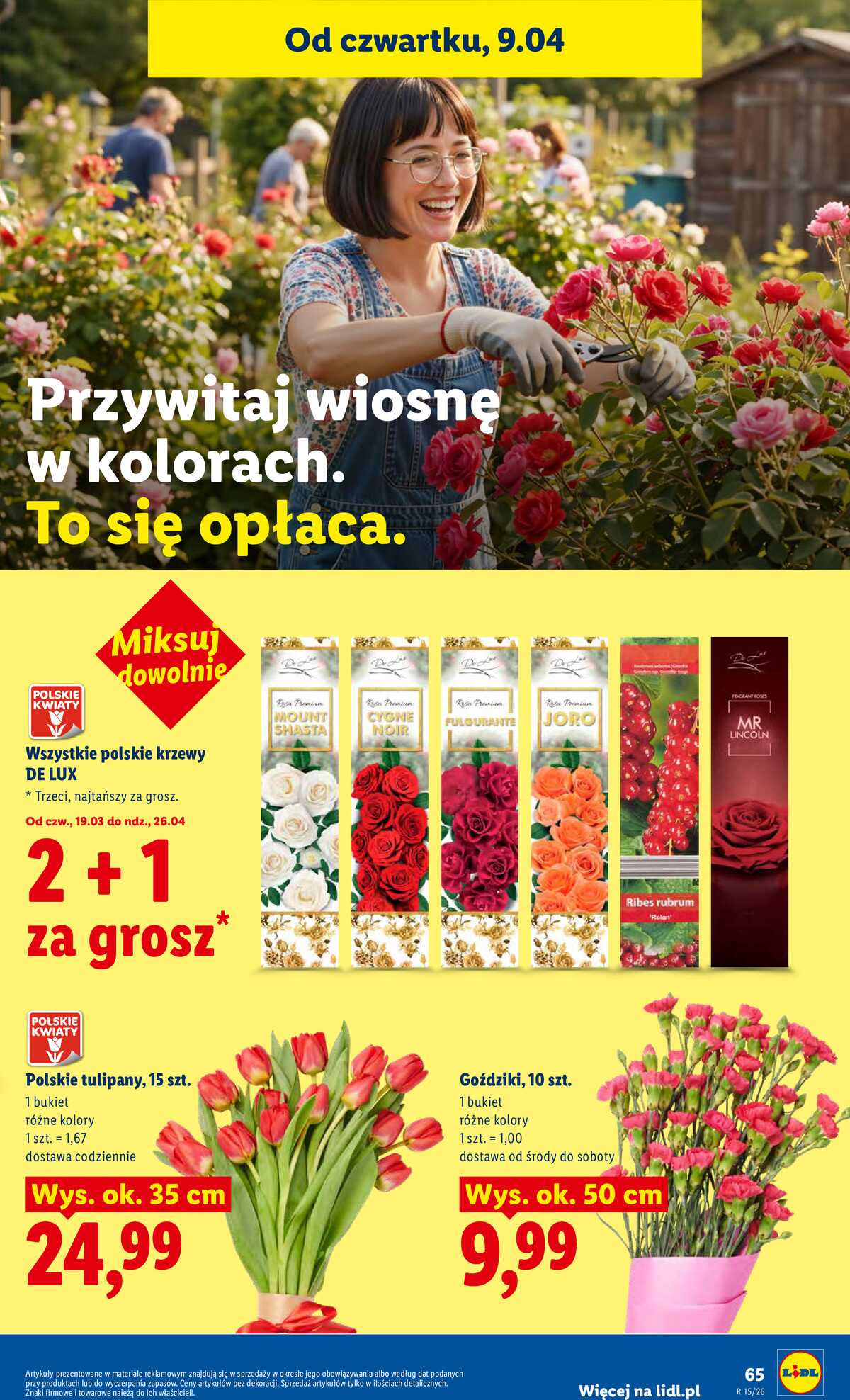Leták Lidl Polsko 9.4.-11.4.2026 - Zpravodaj platný od 9.04 do 11.04 strana 65