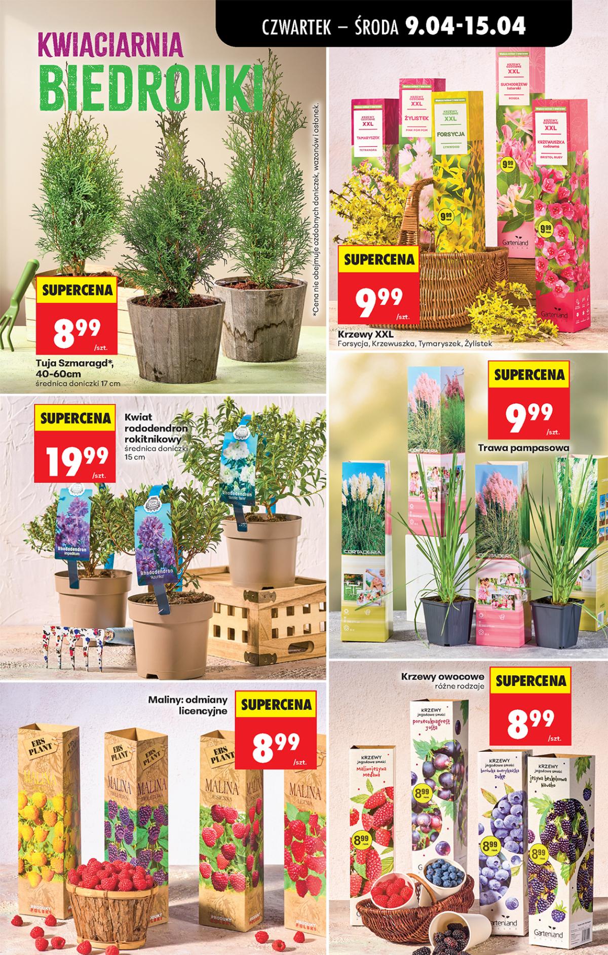 Leták Biedronka Polsko 9.4.-15.4.2026 strana 83