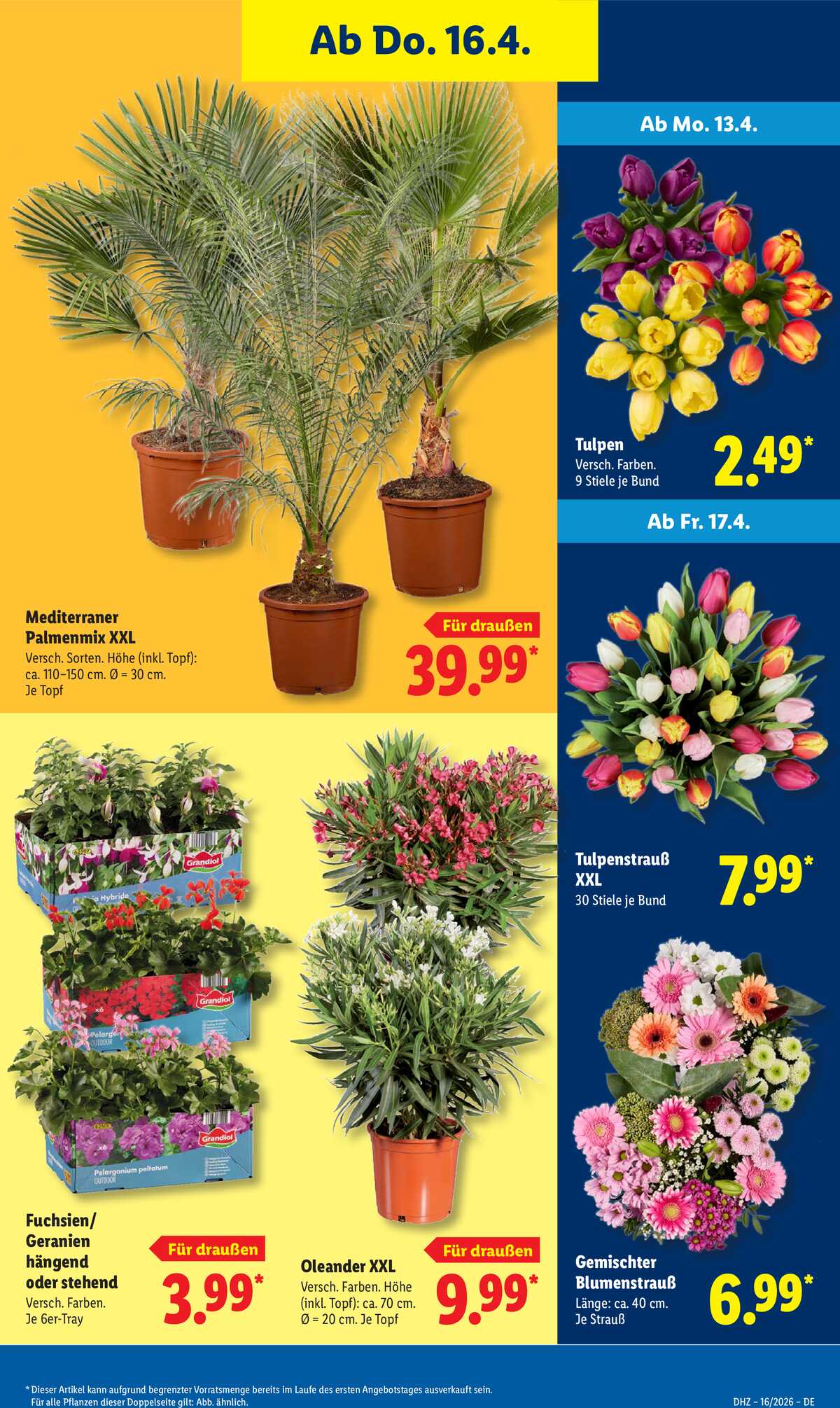 Leták Lidl Německo 13.4.-18.4.2026 strana 69