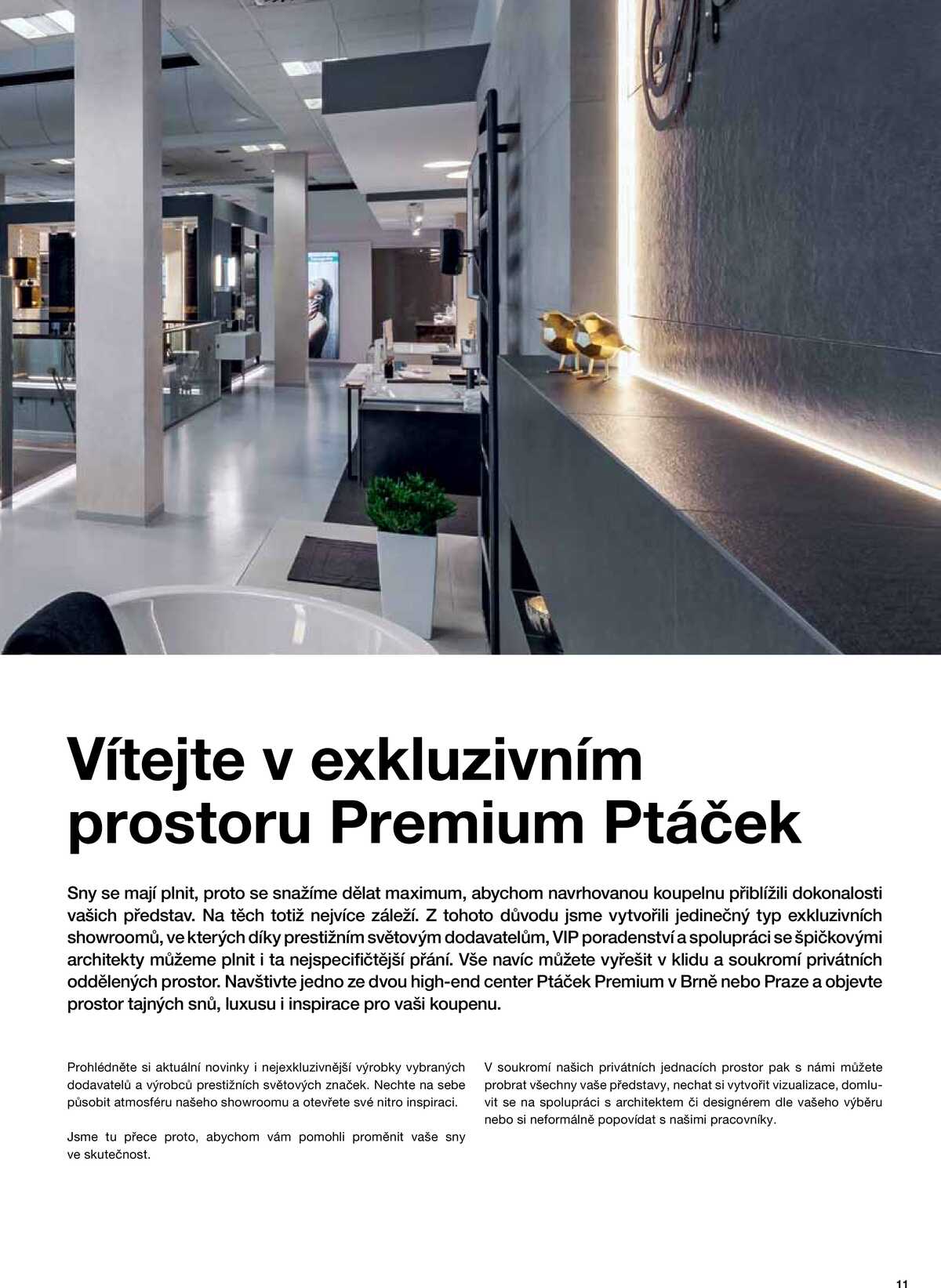 Koupelny Ptáček katalog koupelny strana 11