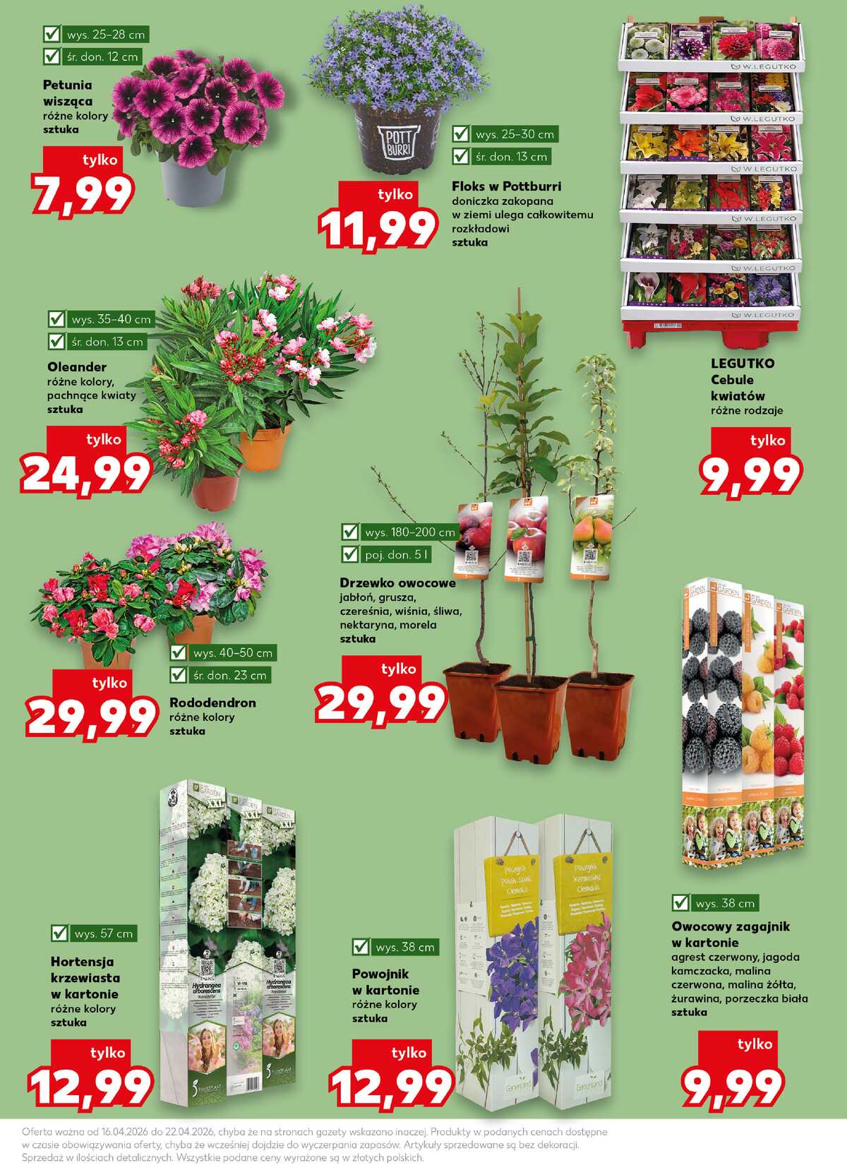 Leták Kaufland Polsko 16.4.-22.4.2026 strana 11