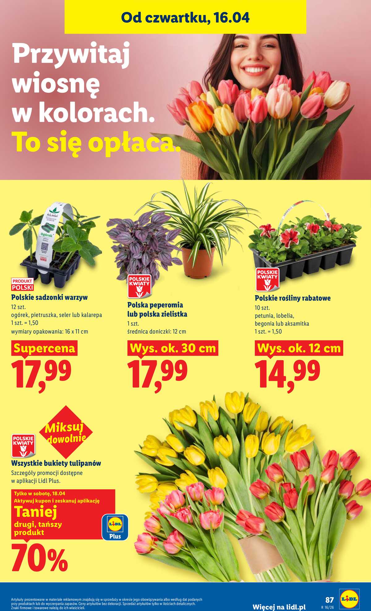 Leták Lidl Polsko 16.4.-18.4.2026 - Zpravodaj platný od 16.04 do 18.04 strana 87