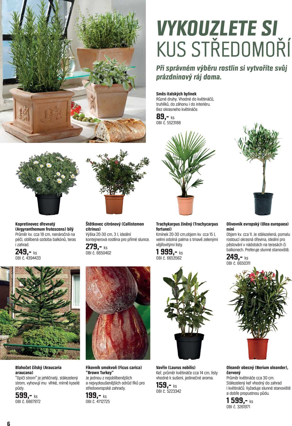 OBI Magazín rostlin od 15.4. do 14.5.2026 strana 6