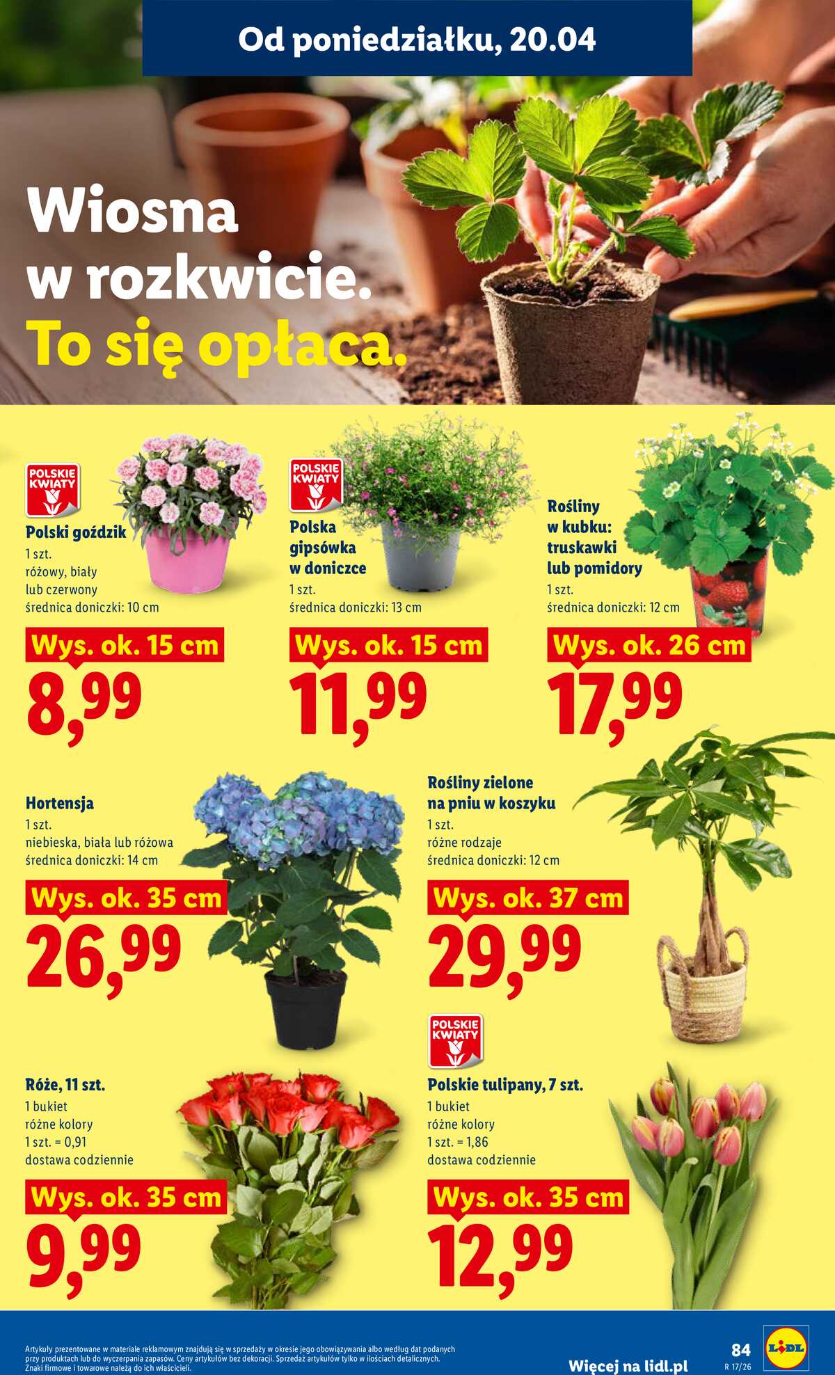 Leták Lidl Polsko 20.4.-22.4.2026 - Zpravodaj platný od 20.04 do 22.04 strana 87