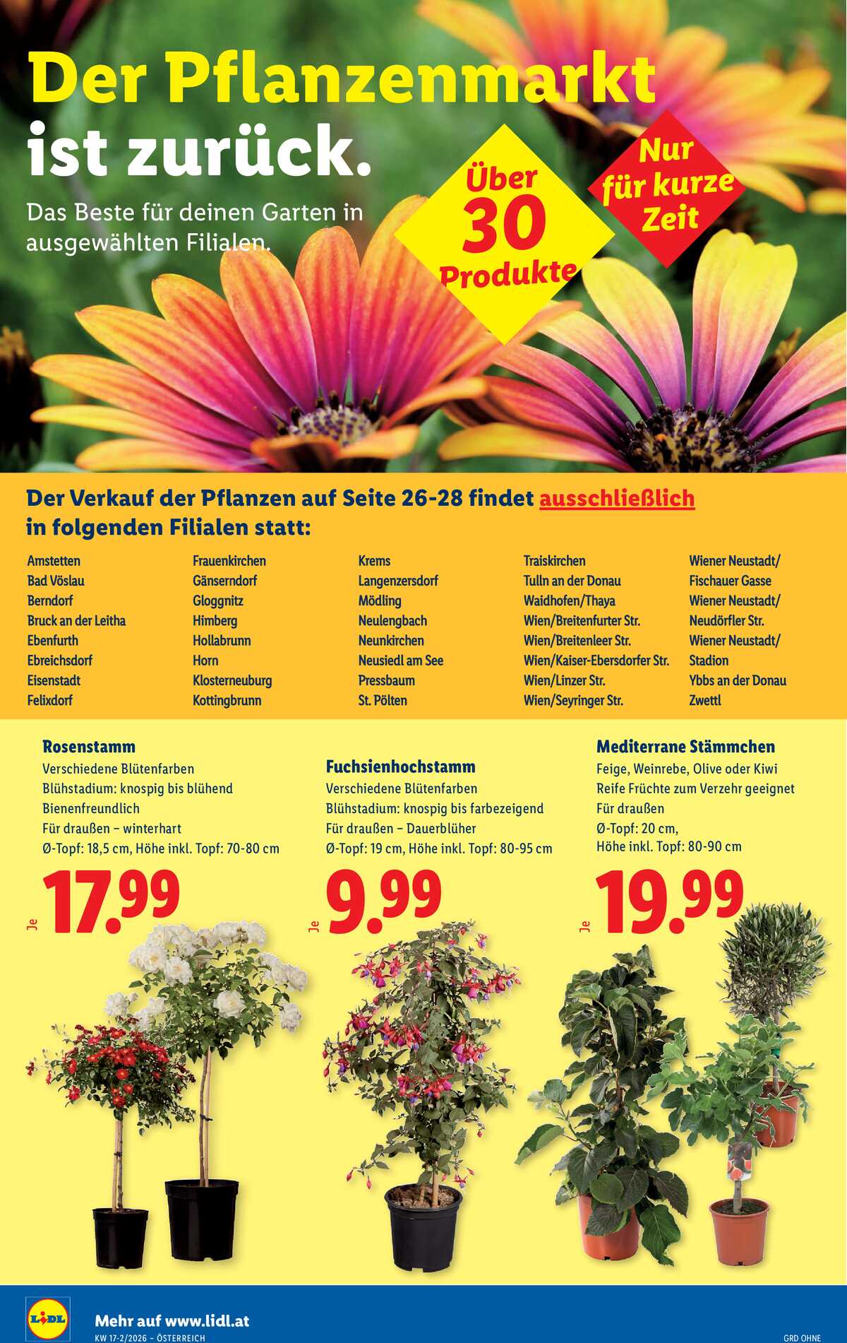 Leták Lidl Rakousko 23.4.-29.4.2026 strana 28