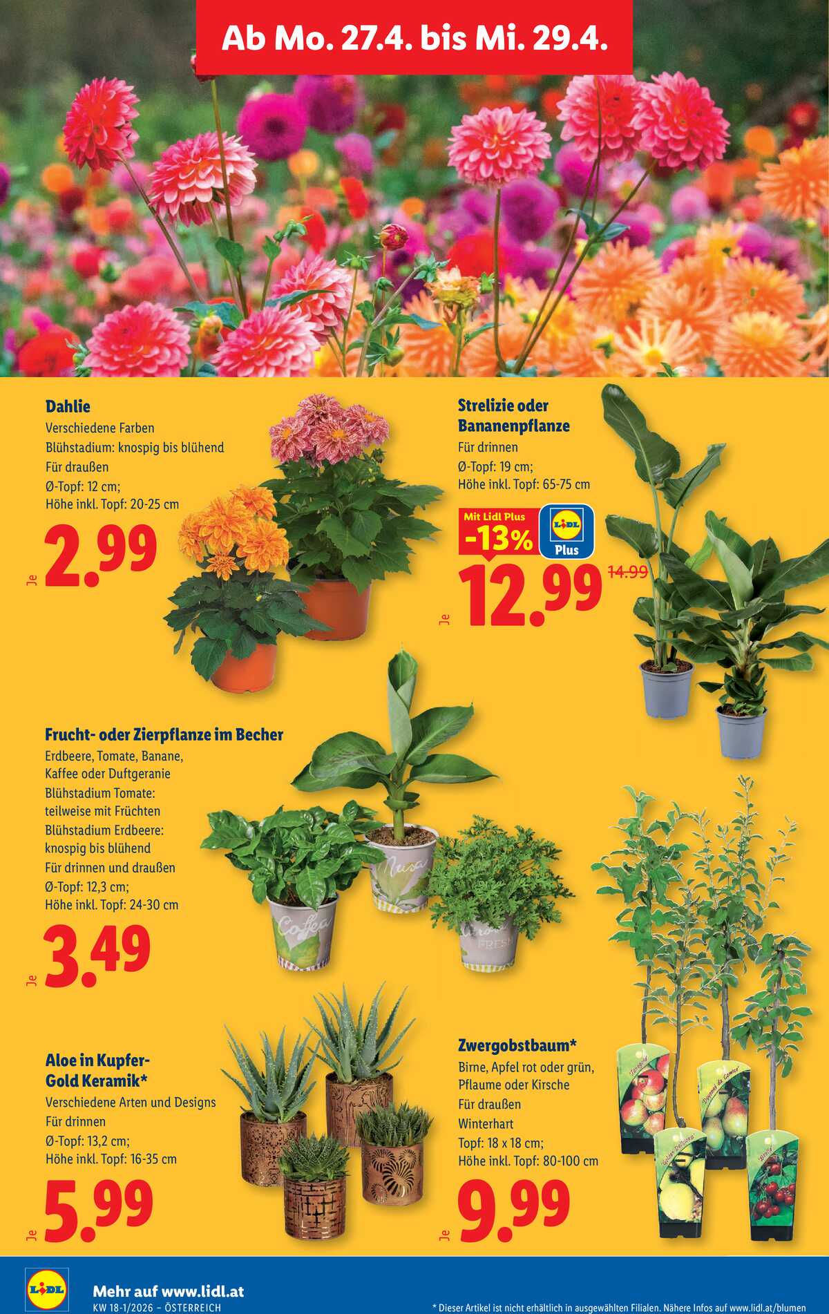 Leták Lidl Rakousko 23.4.-29.4.2026 strana 35