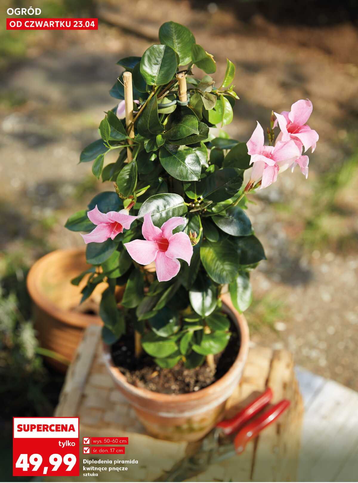 Leták Kaufland Polsko 23.4.-28.4.2026 strana 10