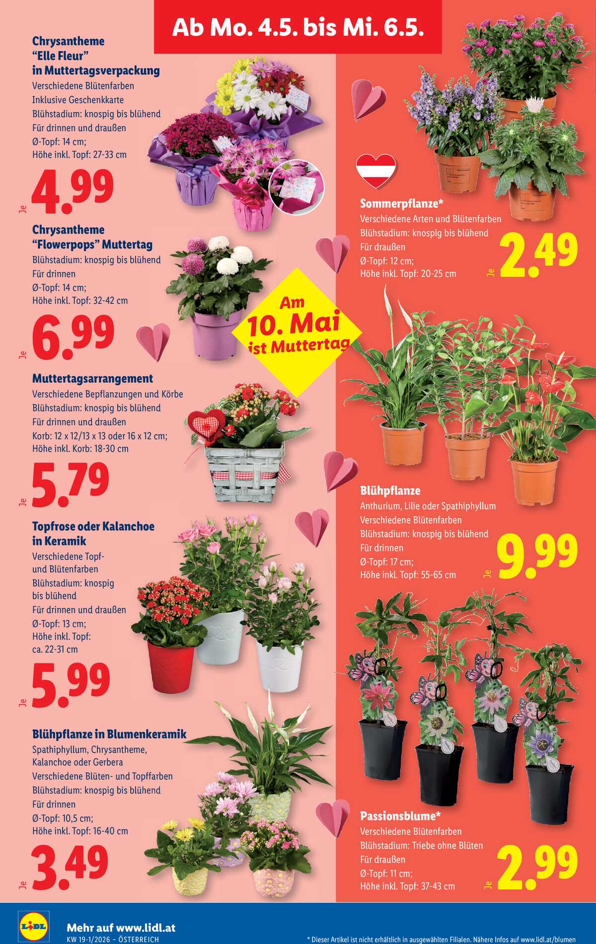 Leták Lidl Rakousko 30.4.-6.5.2026 strana 29