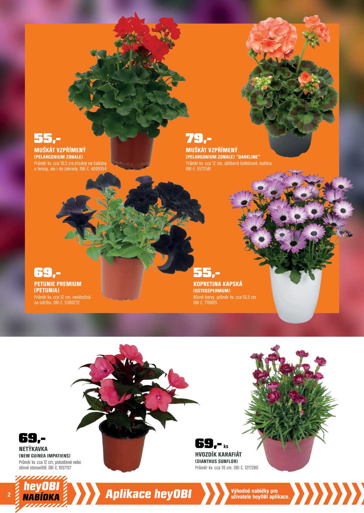 OBI od 1.5. do 31.5.2026 strana 3