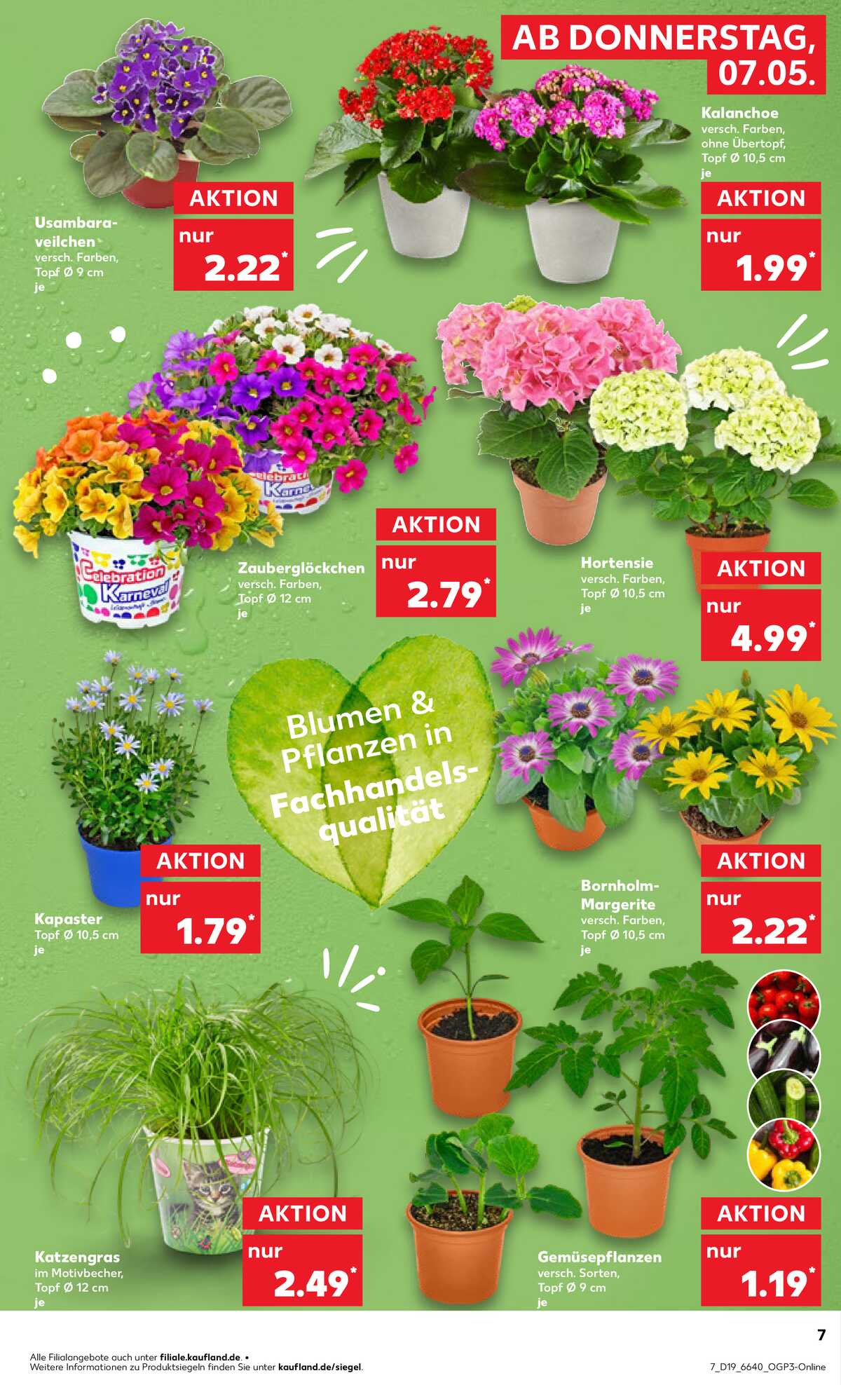Leták Kaufland Německo 7.5.-13.5.2026 strana 7