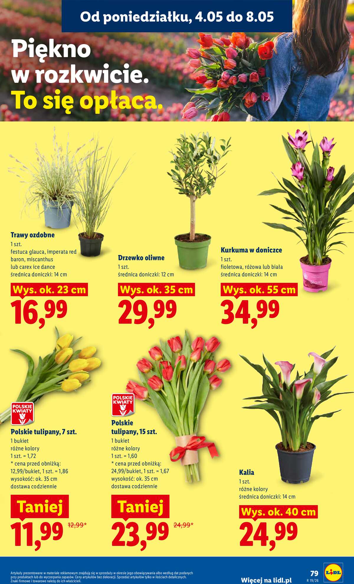 Leták Lidl Polsko 4.5.-6.5.2026 - Zpravodaj platný od 04.05 do 06.05 strana 85