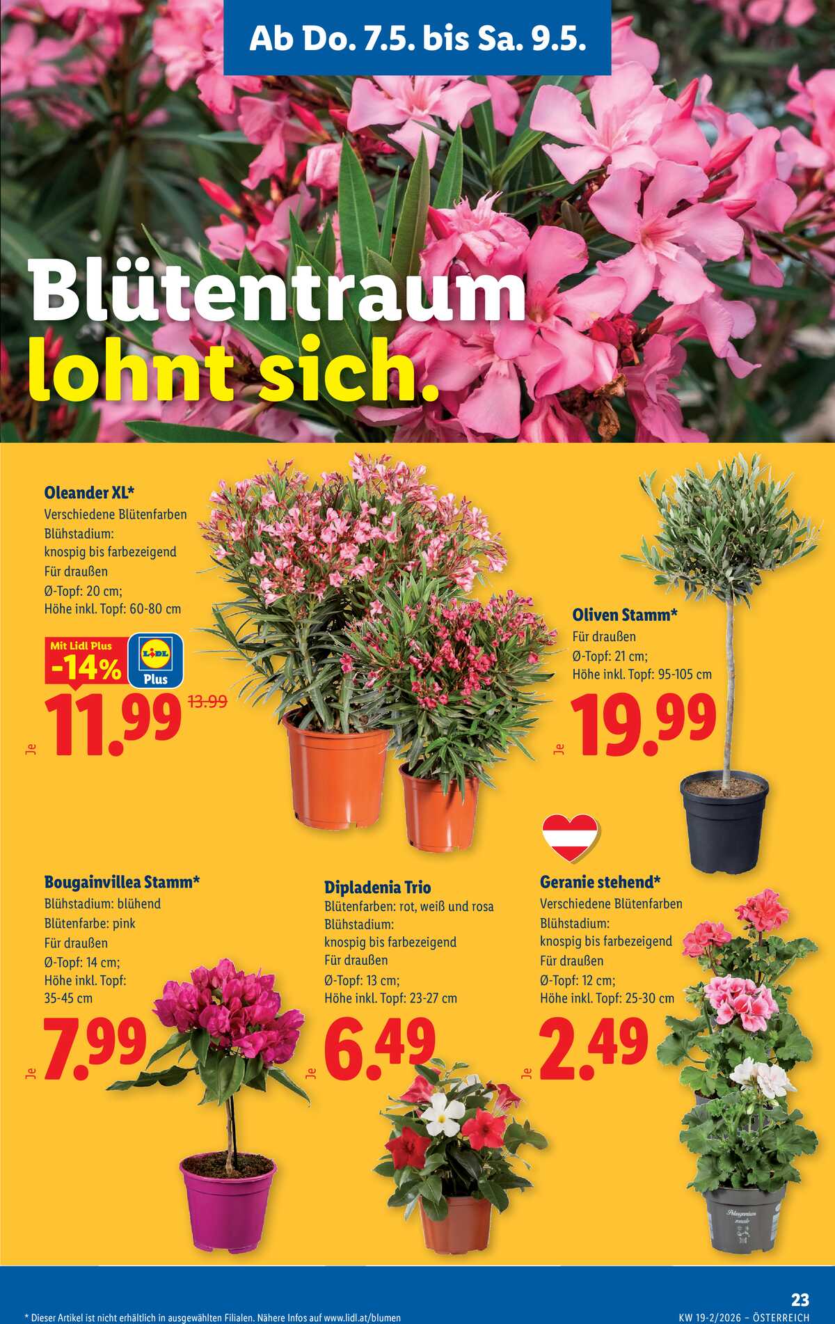Leták Lidl Rakousko 7.5.-13.5.2026 strana 25