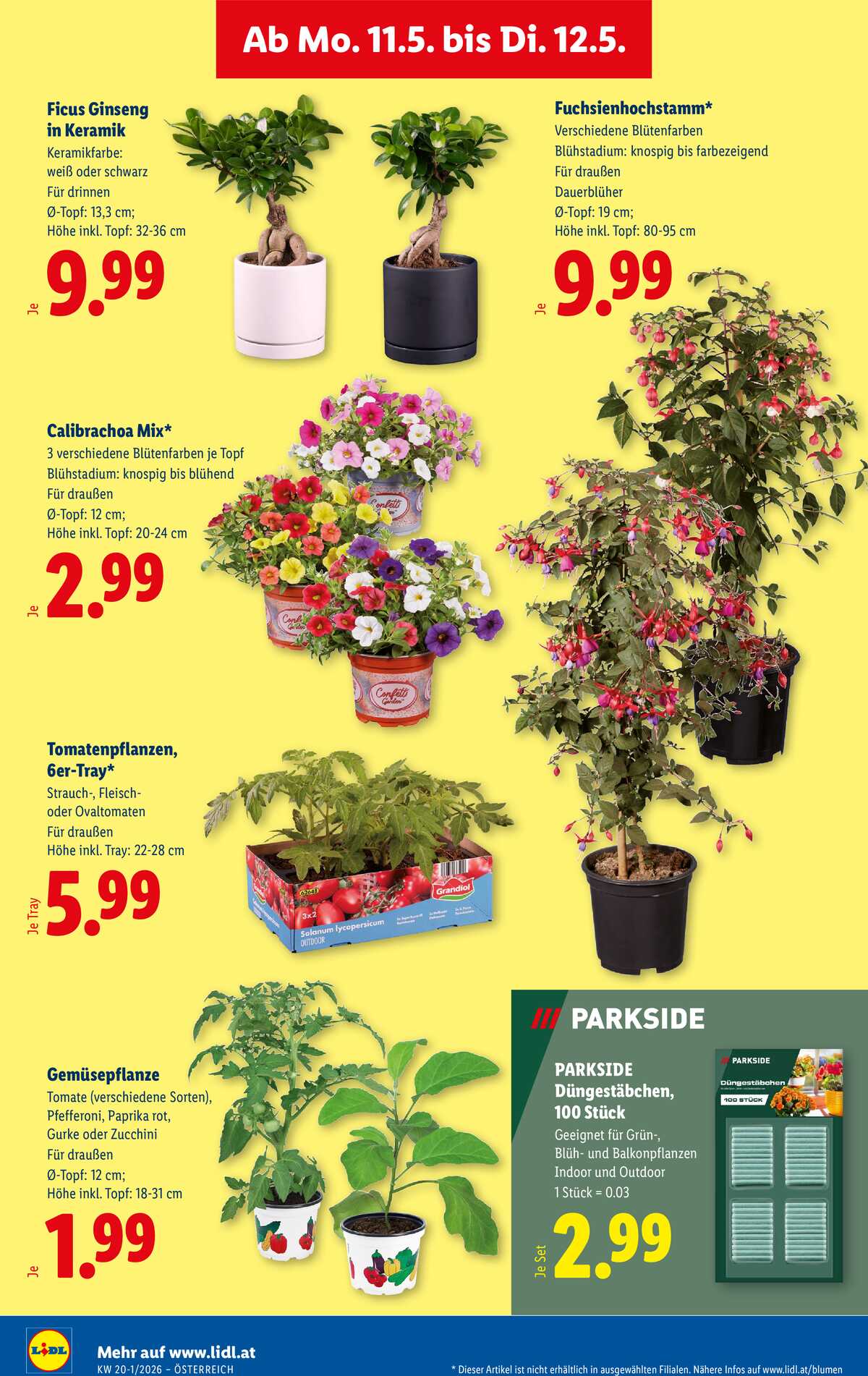 Leták Lidl Rakousko 7.5.-13.5.2026 strana 31