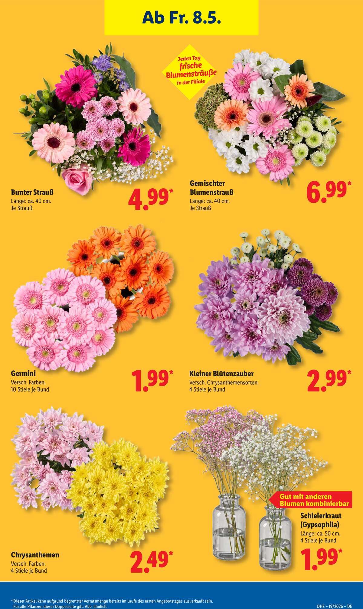 Leták Lidl Německo 4.5.-9.5.2026 strana 13