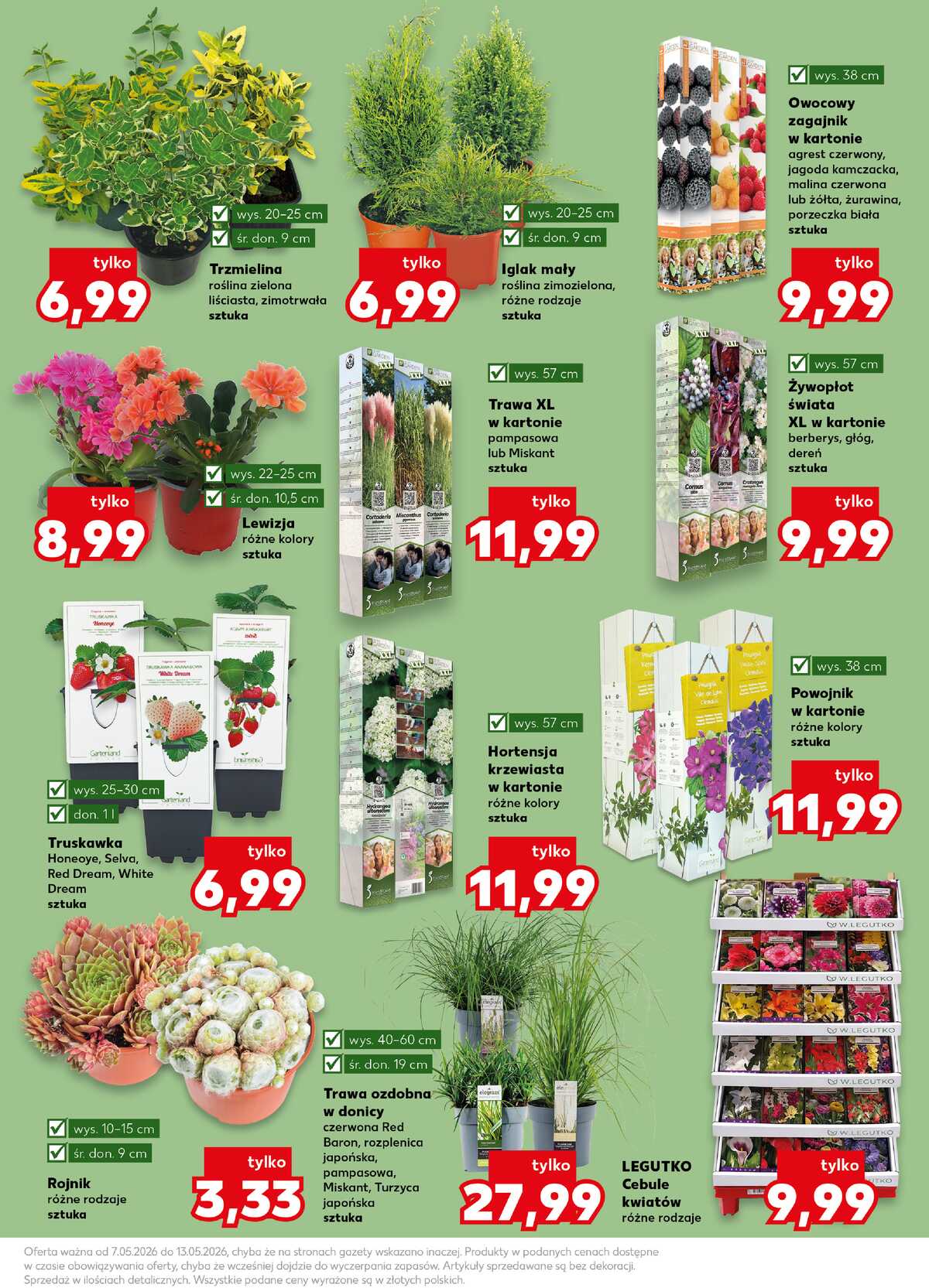 Leták Kaufland Polsko 7.5.-13.5.2026 strana 11