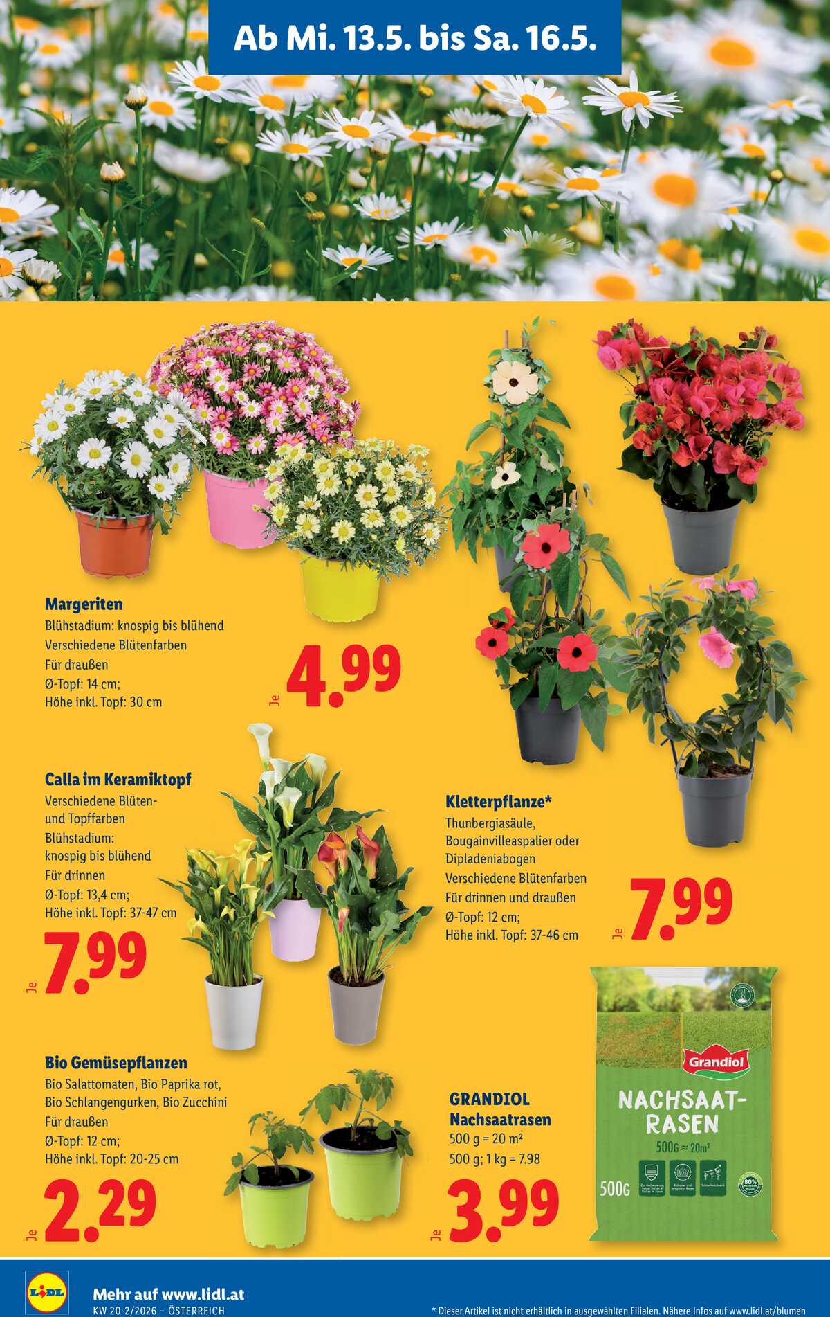 Leták Lidl Rakousko 13.5.-20.5.2026 strana 30