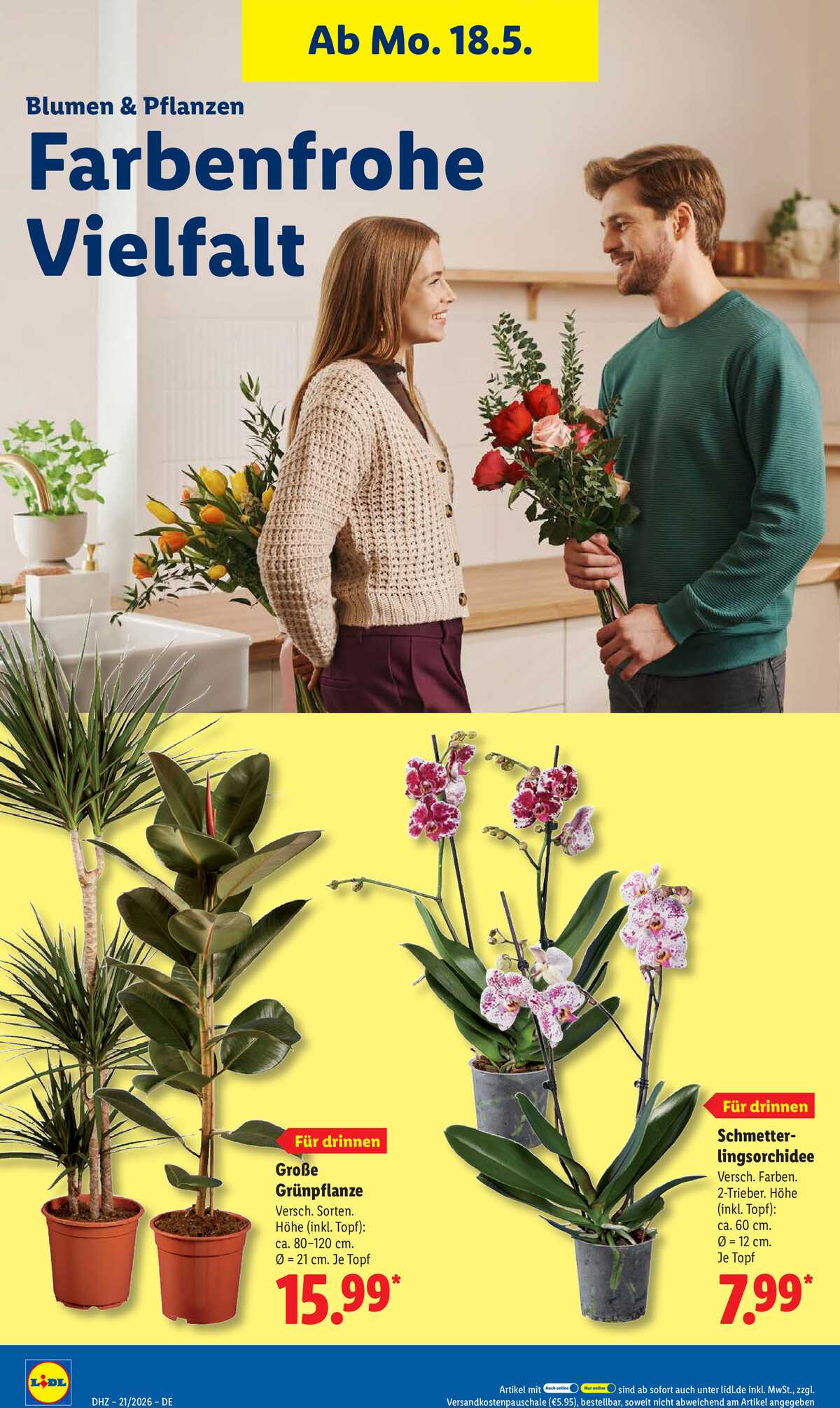 Leták Lidl Německo 18.5.-23.5.2026 strana 70