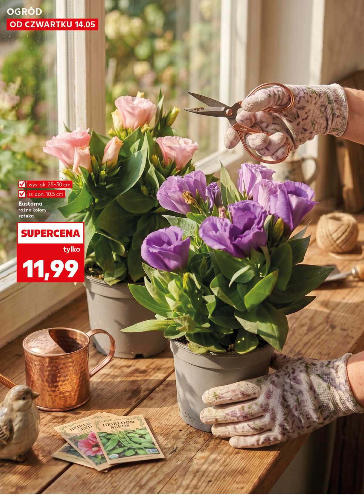 Leták Kaufland Polsko 14.5.-20.5.2026 strana 10
