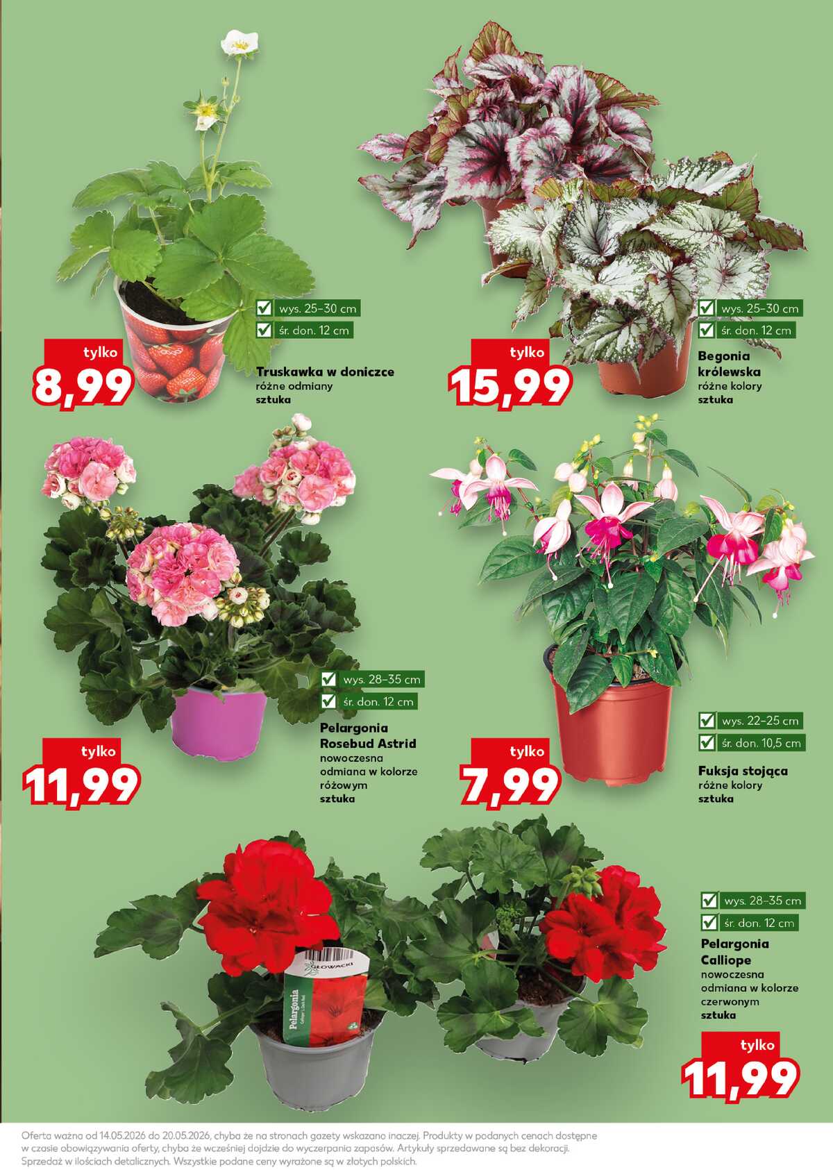 Leták Kaufland Polsko 14.5.-20.5.2026 strana 11