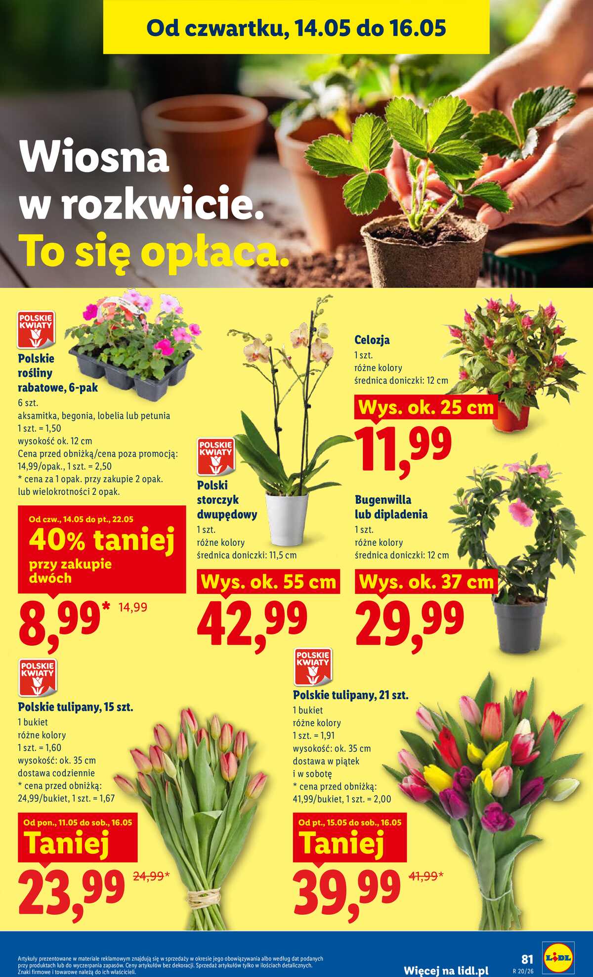 Leták Lidl Polsko 14.5.-16.5.2026 - Zpravodaj platný od 14.05 do 16.05 strana 87
