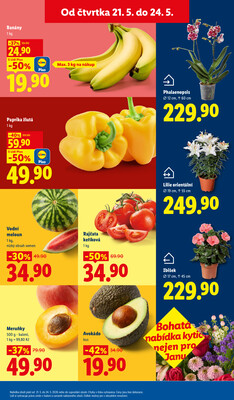 Lidl Čtvrtek od 21.5. do 24.5.2026