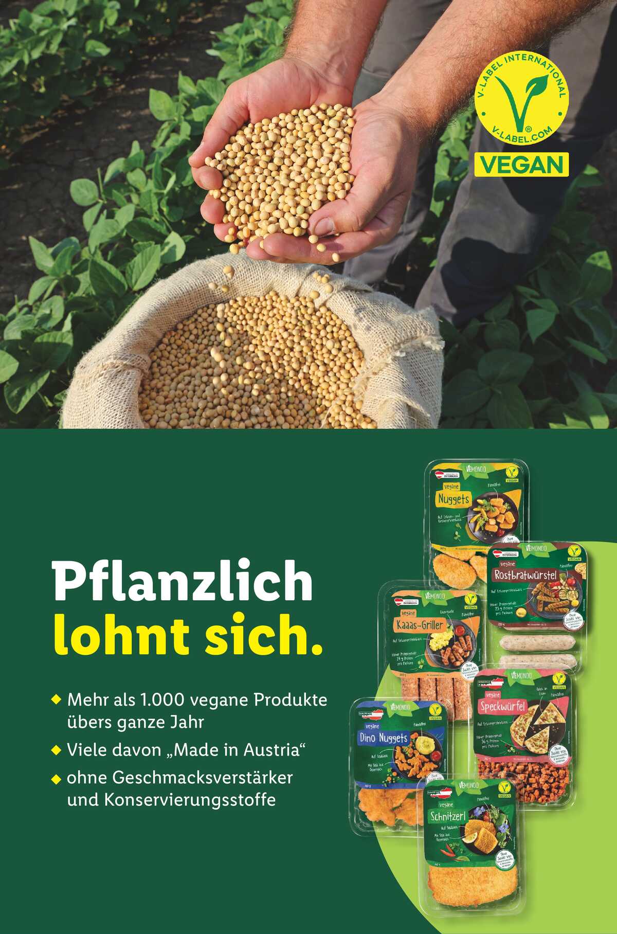 Leták Lidl Rakousko 21.5.-27.5.2026 strana 50