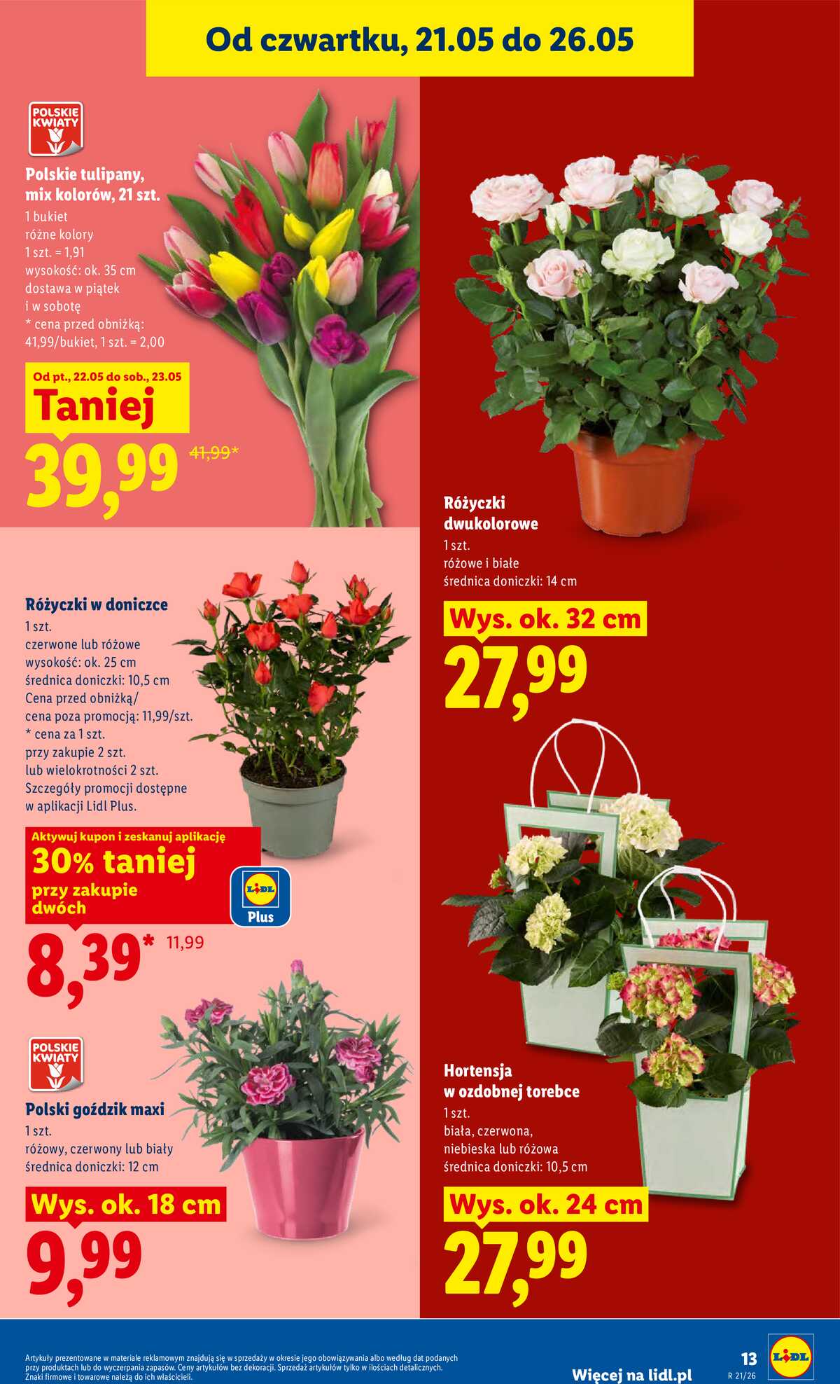 Leták Lidl Polsko 21.5.-23.5.2026 - Zpravodaj platný od 21.05 do 23.05 strana 13