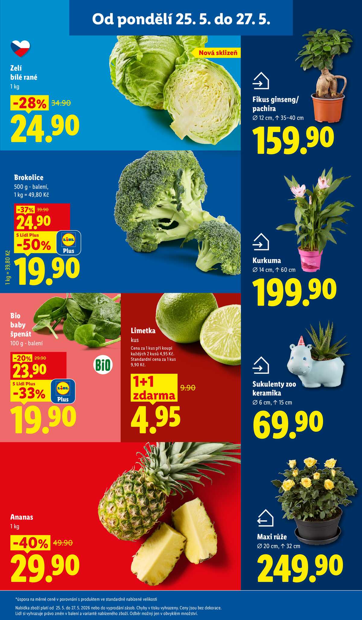 Lidl od 25.5. do 27.5.2026 strana 11