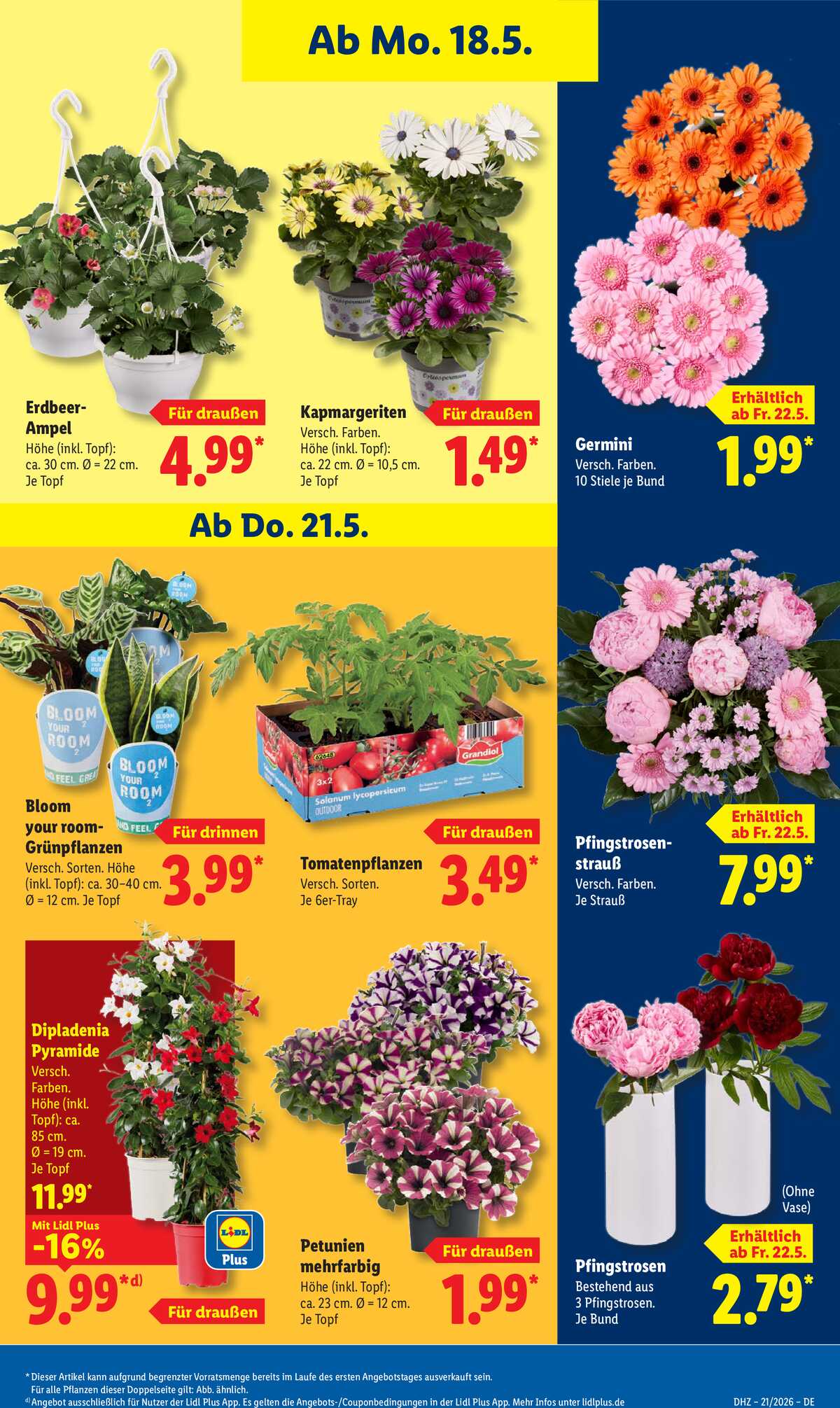 Leták Lidl Německo 18.5.-23.5.2026 strana 71