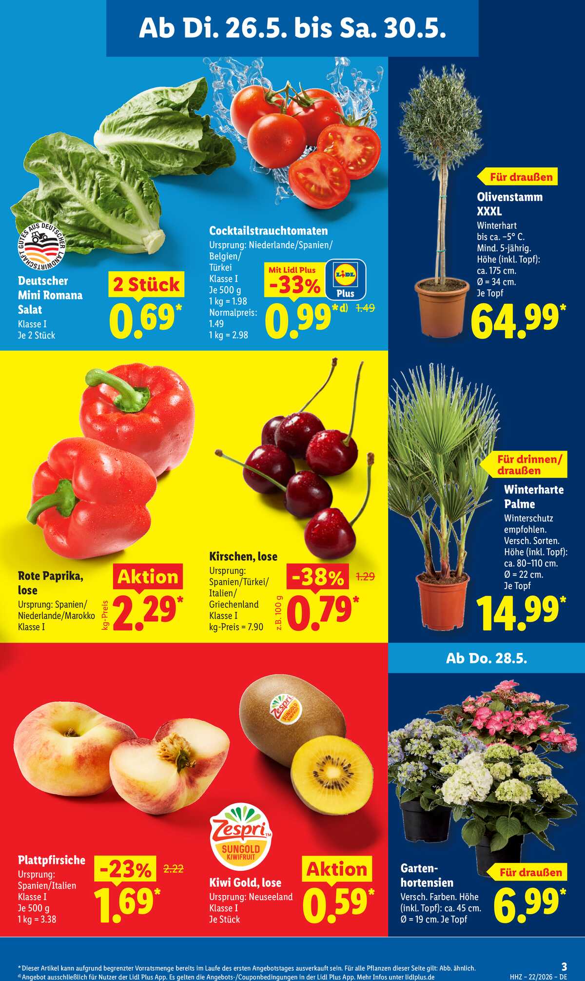 Leták Lidl Německo 26.5.-30.5.2026 strana 5